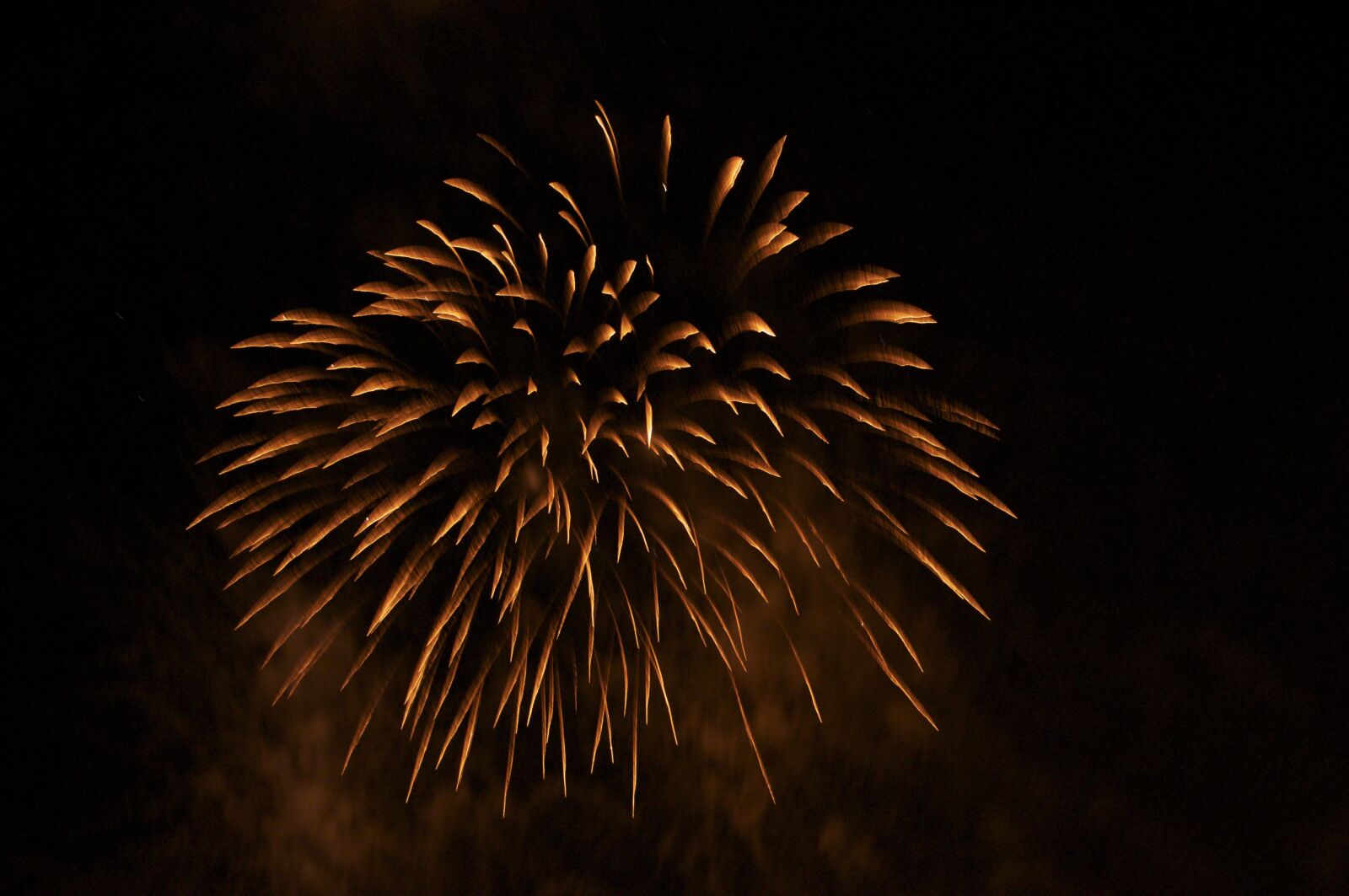 Nikon D5000 sample photo. Fireworks, festival, guy fawkes photography