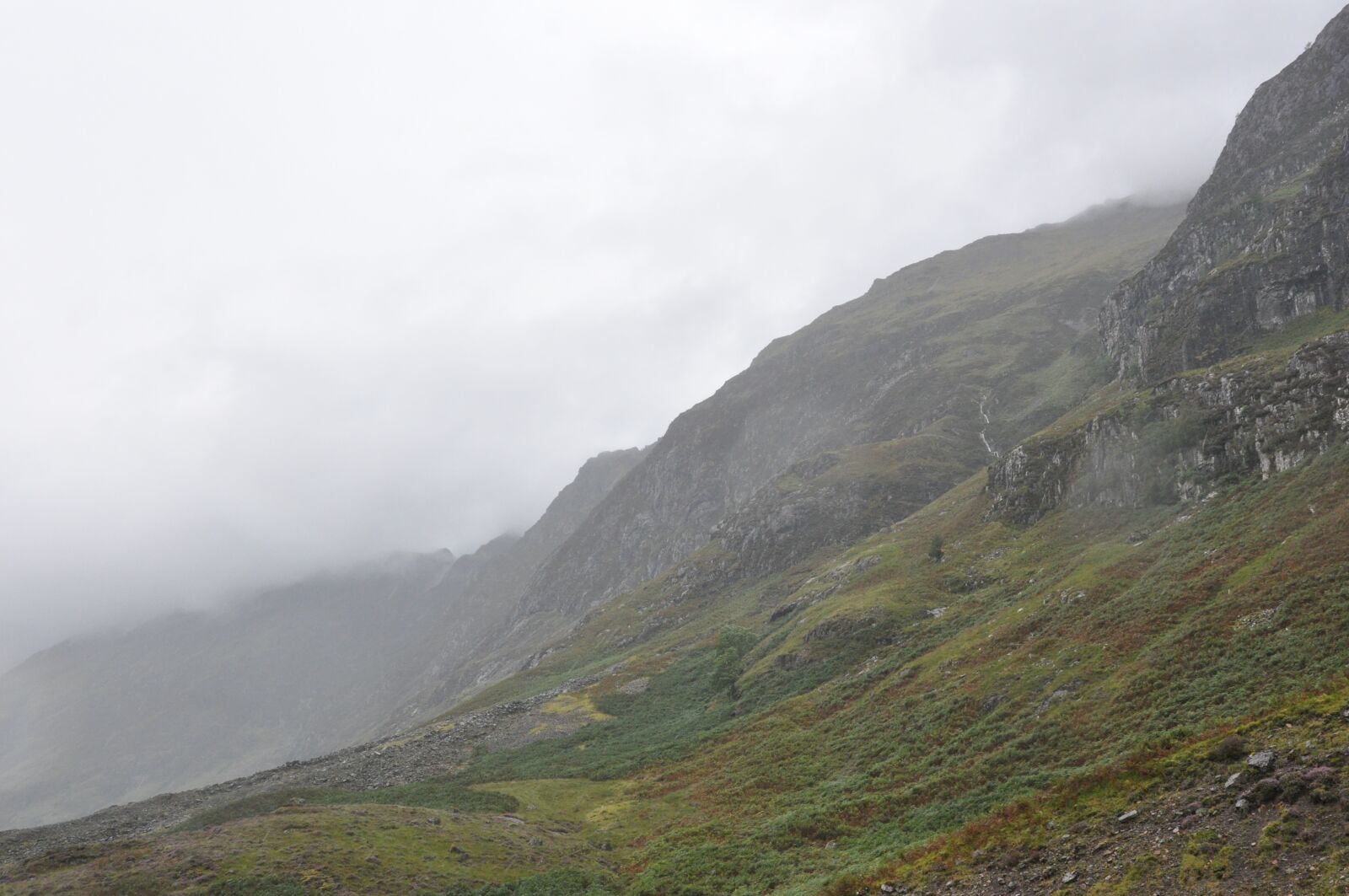 Nikon D90 sample photo. Scotland, highlands, mist photography