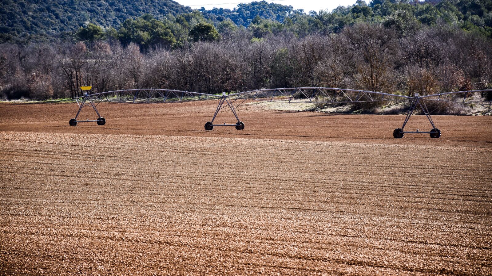 Nikon D5600 sample photo. Farmland, agriculture, field photography