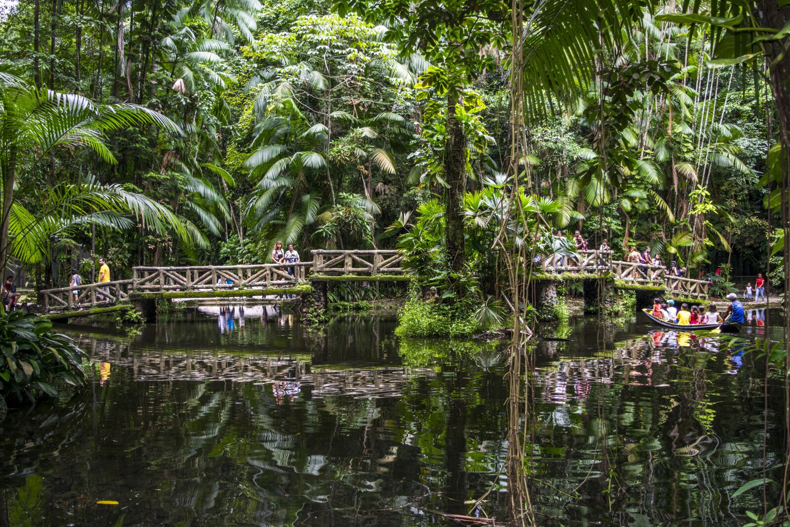 Nikon D5300 sample photo. Park, amazon, nature photography
