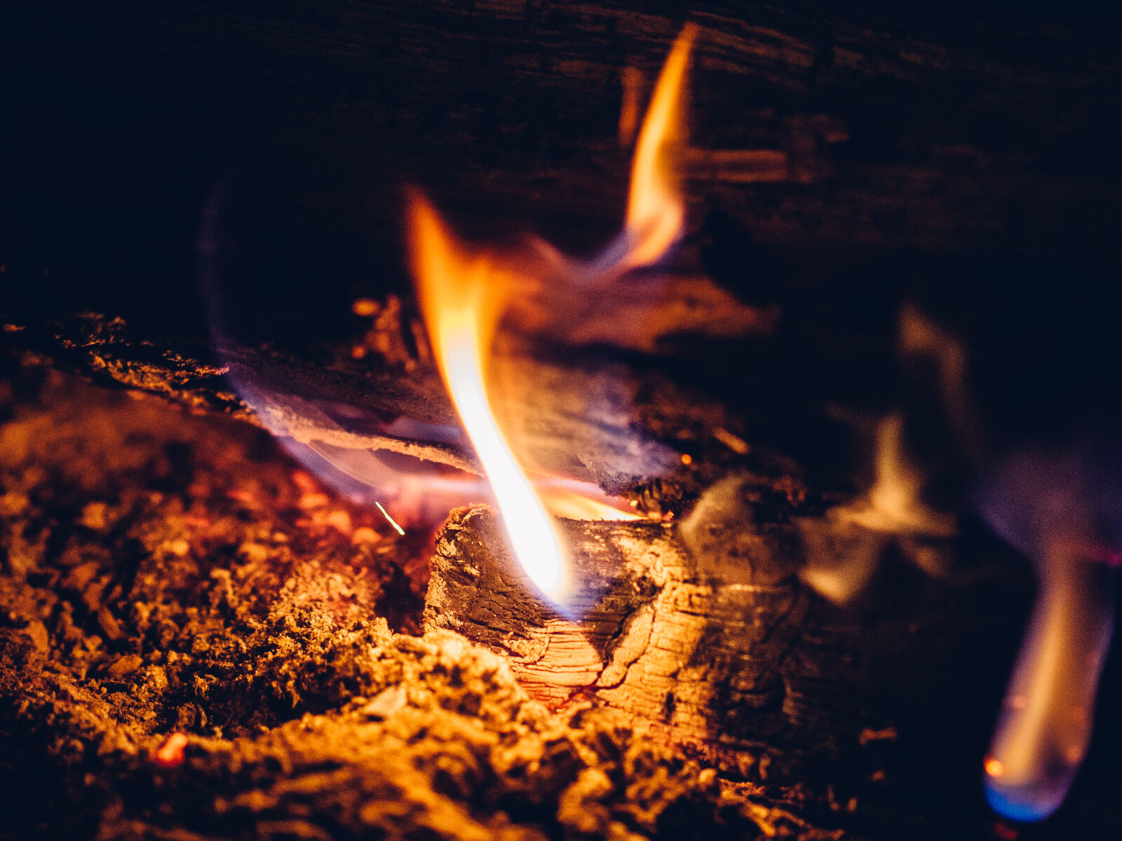 Olympus OM-D E-M5 sample photo. Ash, burn, burning, coal photography
