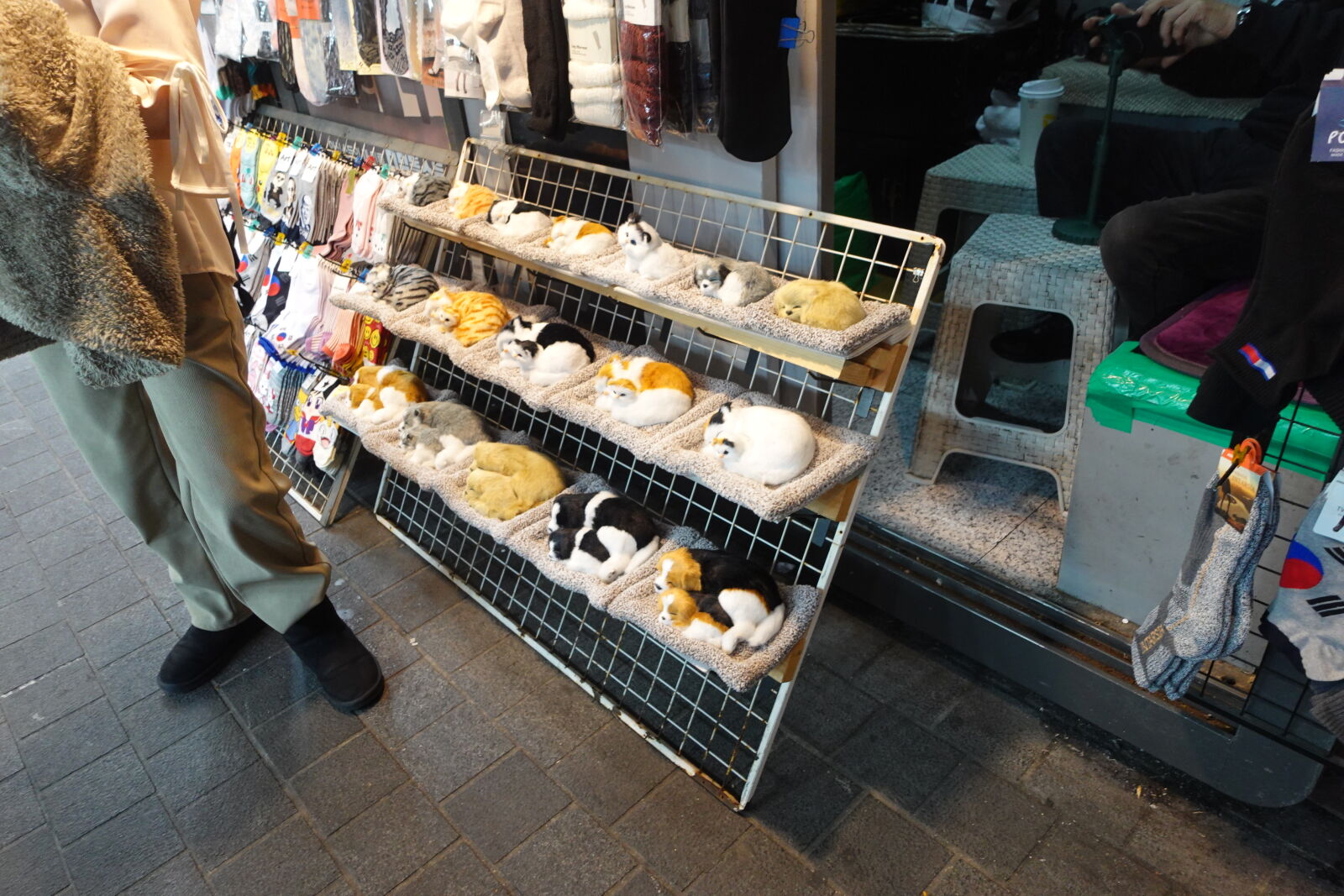 Sony ZV-1 sample photo