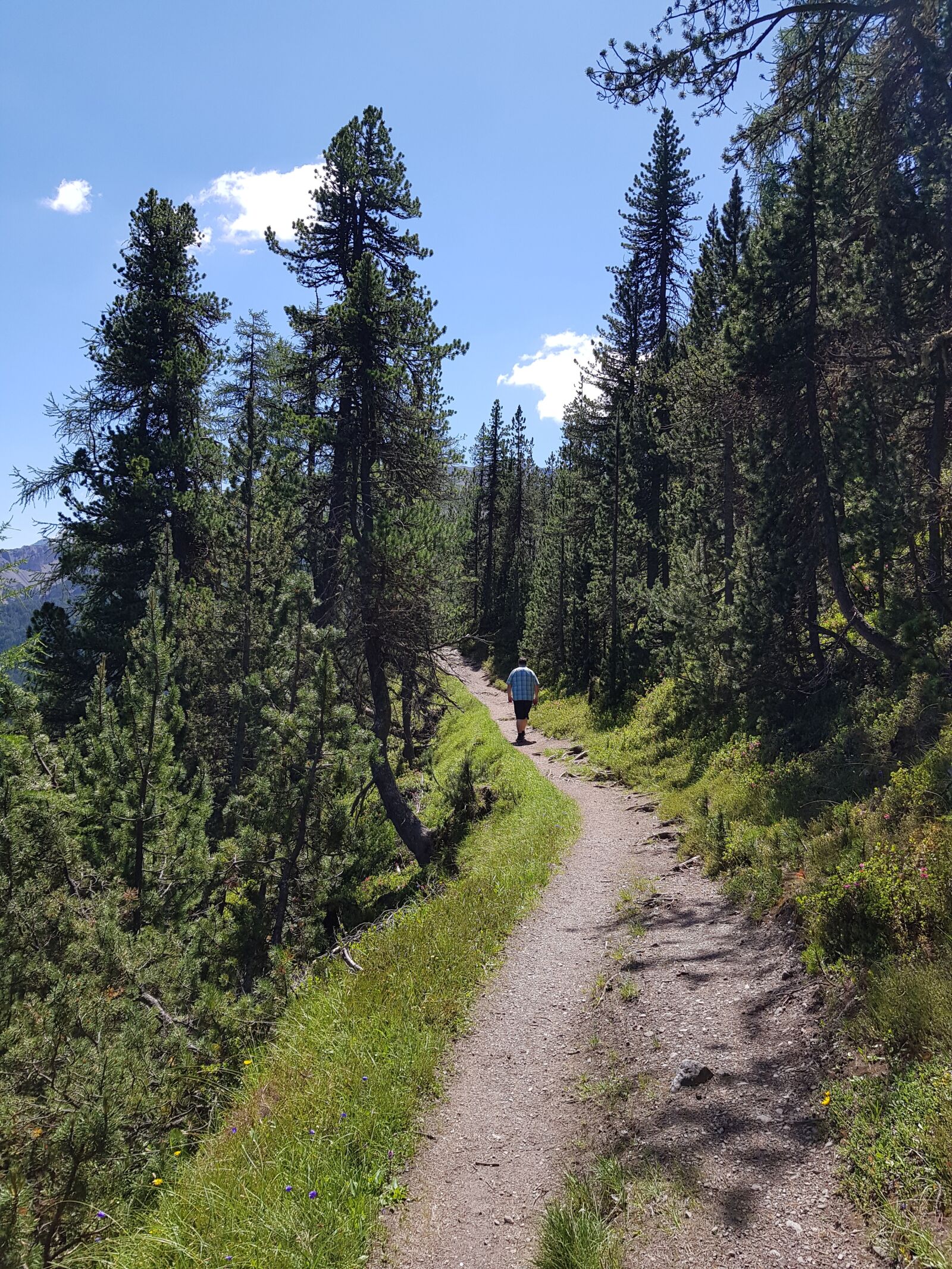 Samsung Galaxy S8 sample photo. Engadin, national park, tourism photography