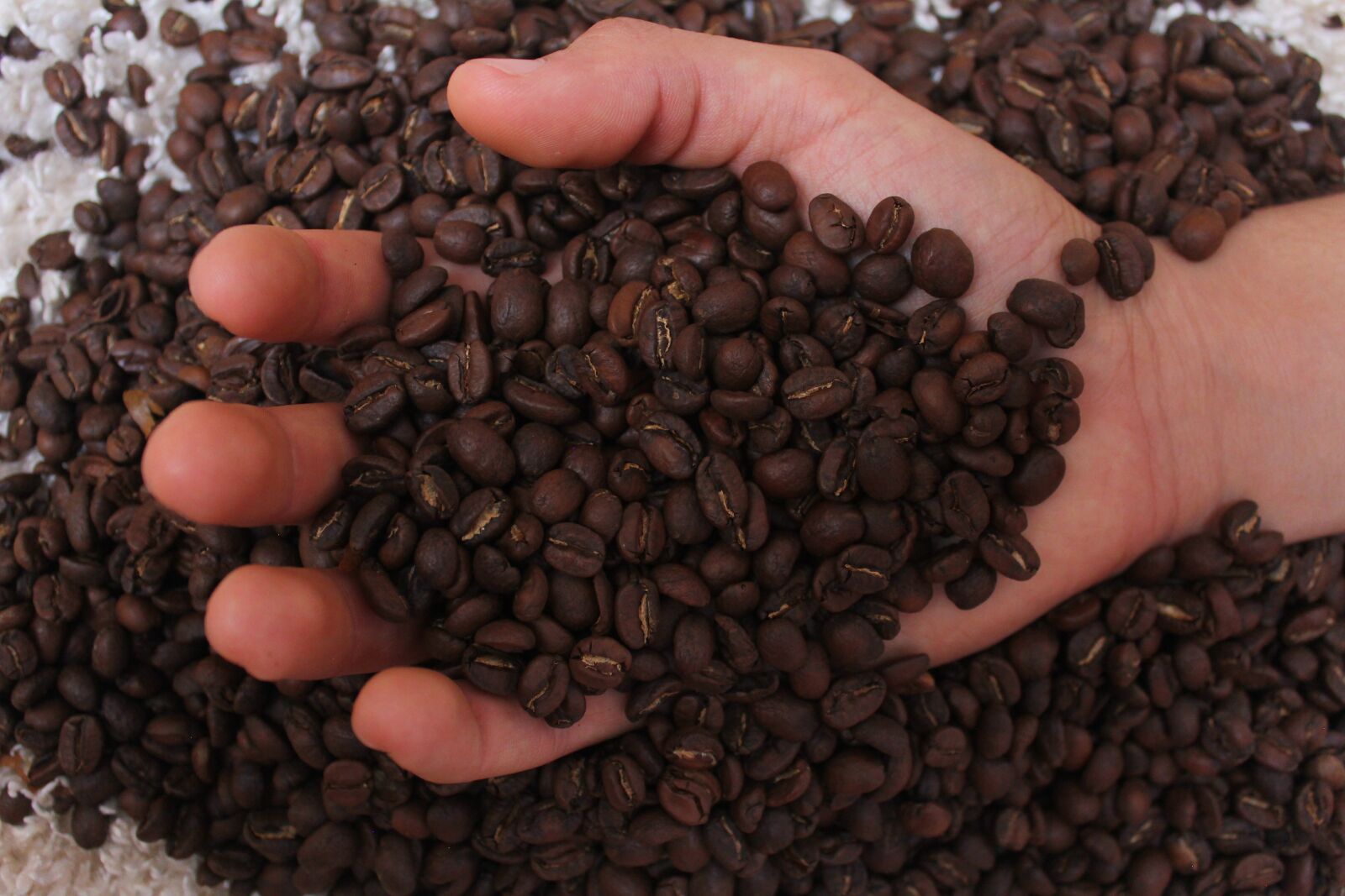 Canon EOS 60D sample photo. Coffee, coffe, drink photography