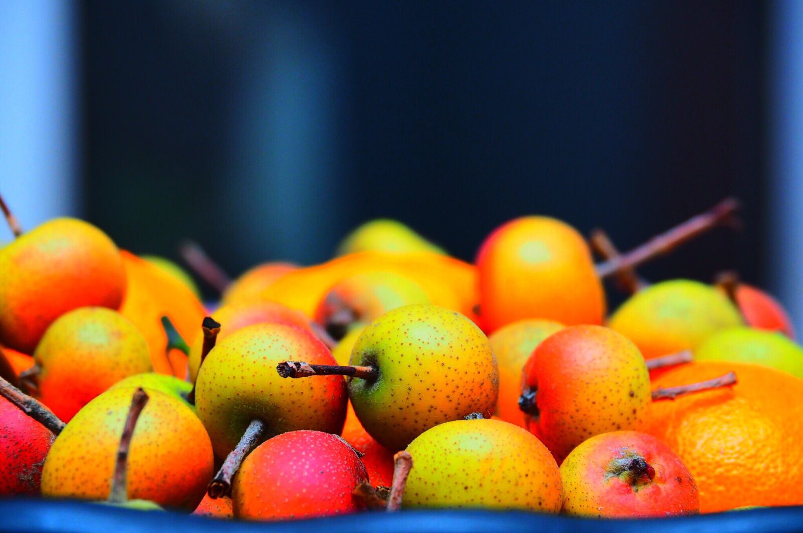 Olympus OM-D E-M5 II sample photo. Fruit, food, juicy photography