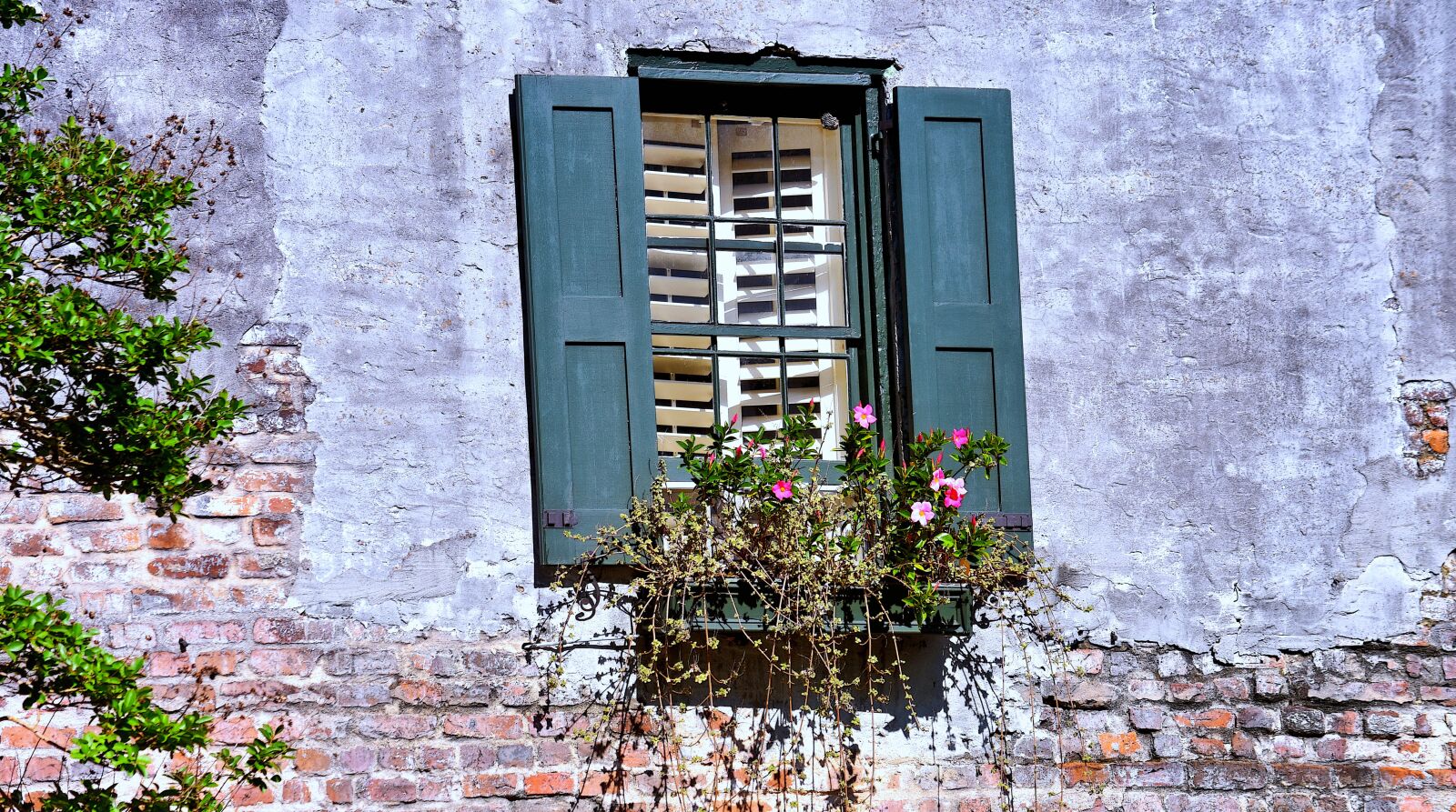 Nikon D7200 sample photo. Shutters, blinds, windows photography