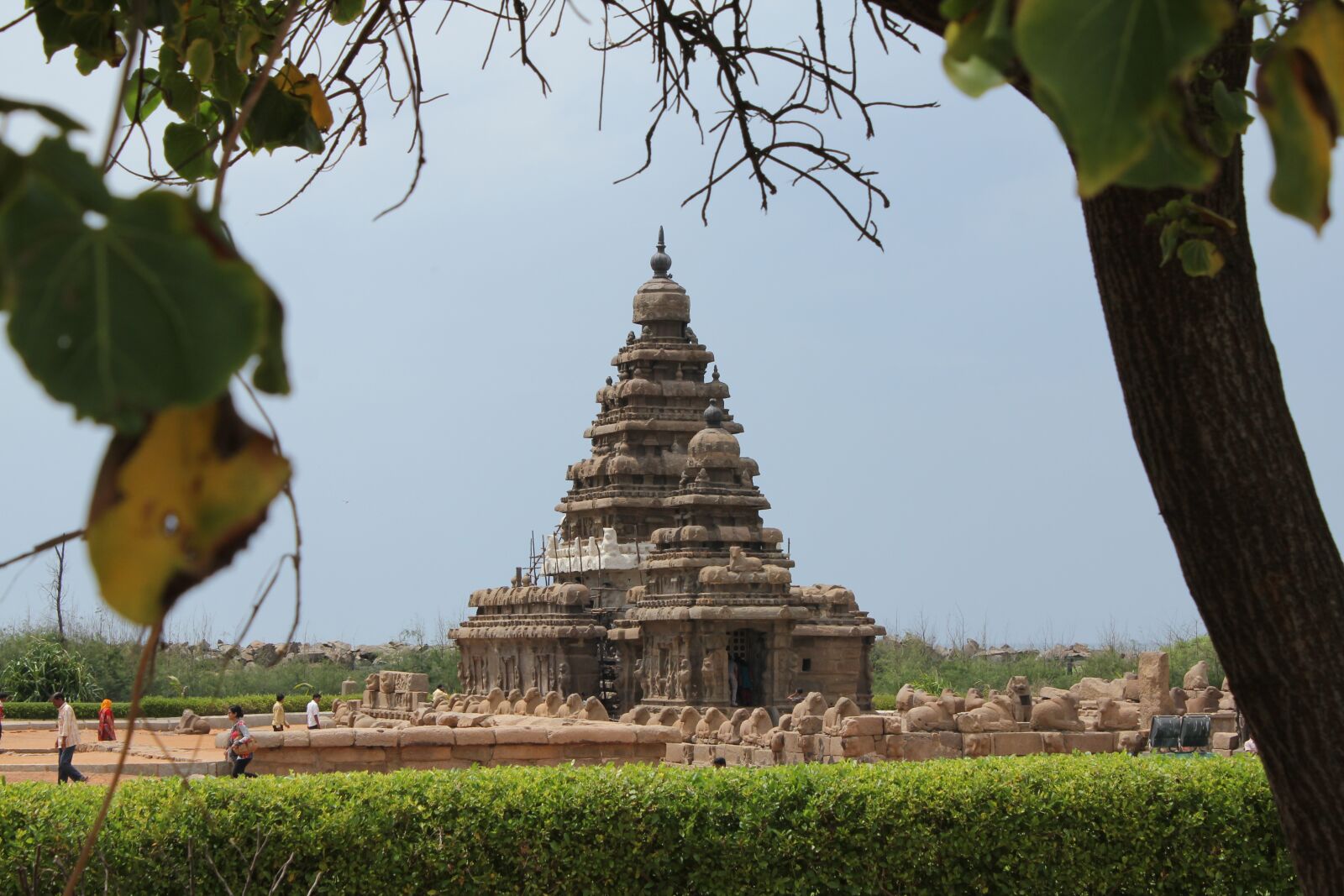Canon EOS 550D (EOS Rebel T2i / EOS Kiss X4) sample photo. Mahabalipuram, tamilnadu, chennai photography