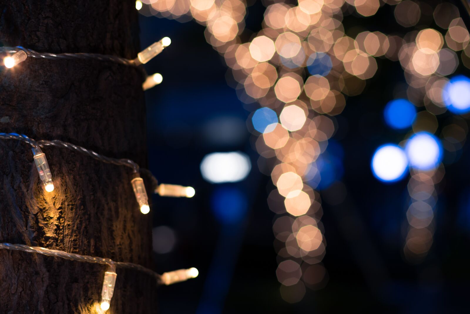 Canon EF 50mm F1.4 USM sample photo. Aperture, led, light photography