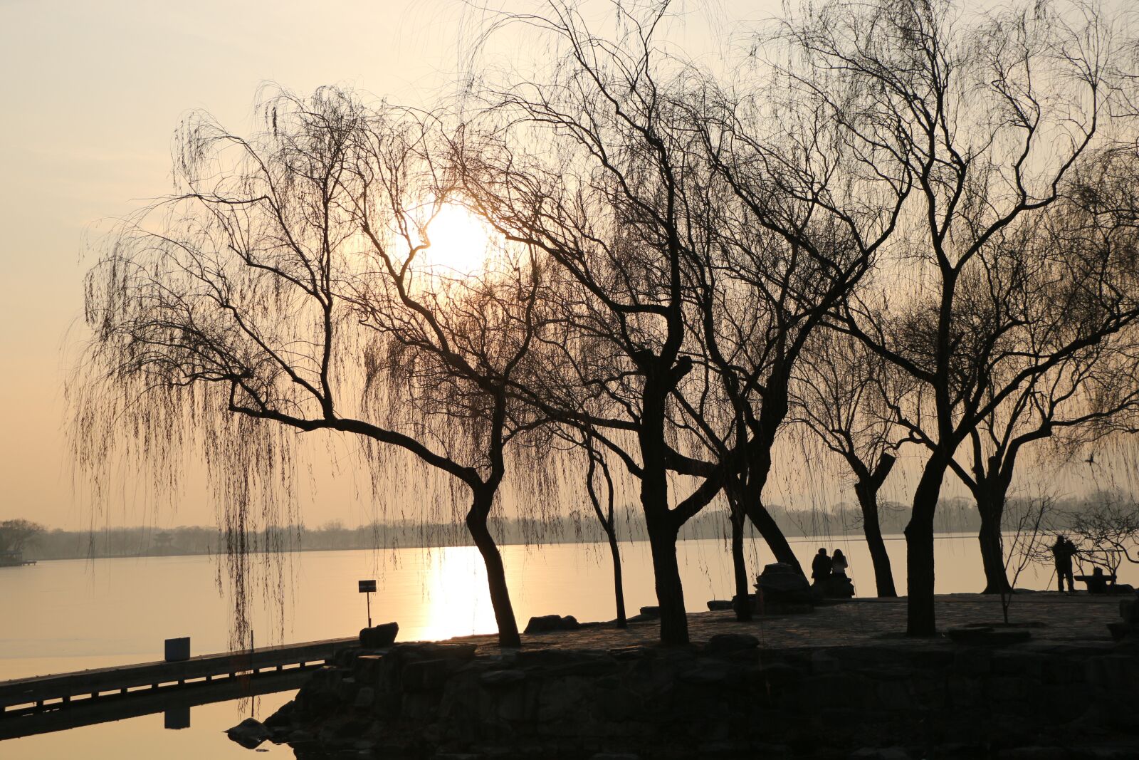 Canon EOS 70D sample photo. Sunset, tree, lake photography