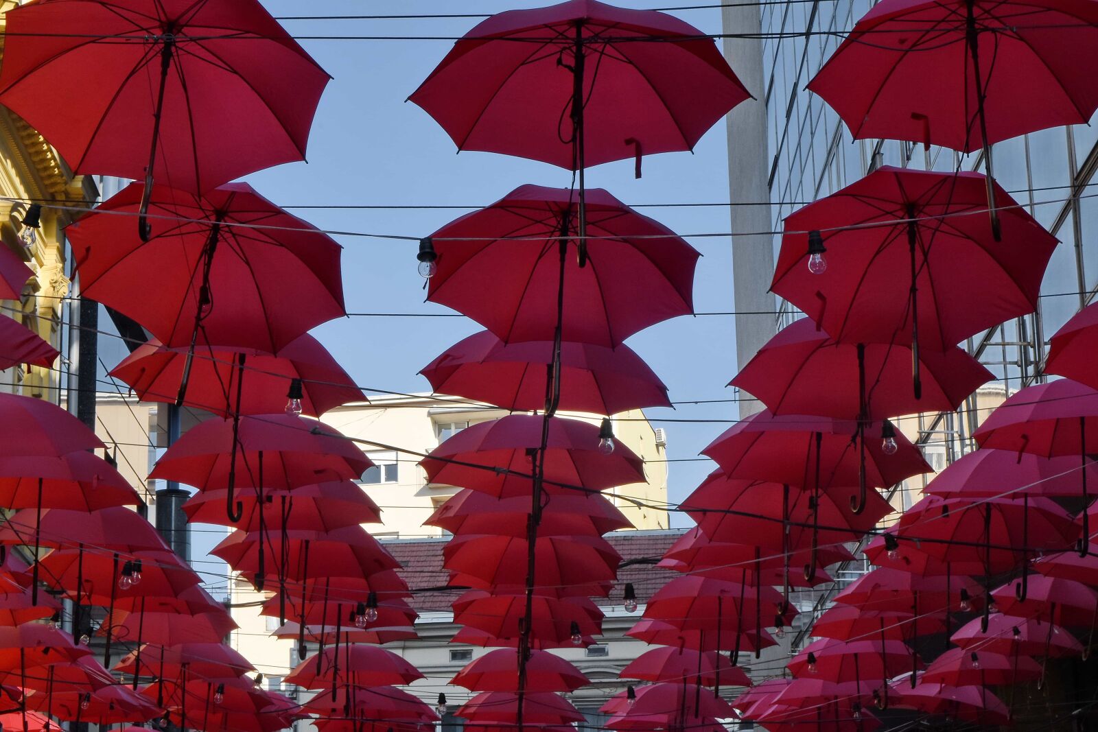 Nikon D5500 sample photo. Decoration, street, umbrella, color photography