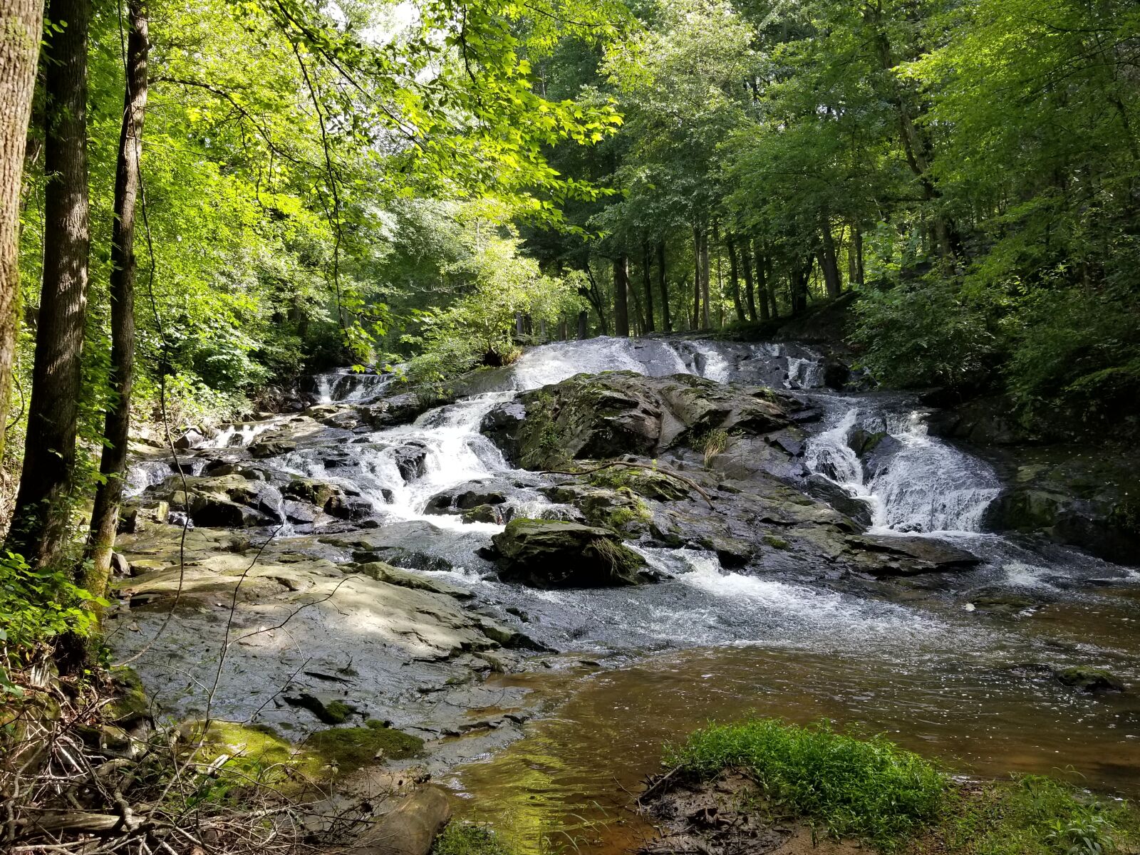 Samsung Galaxy S8 sample photo