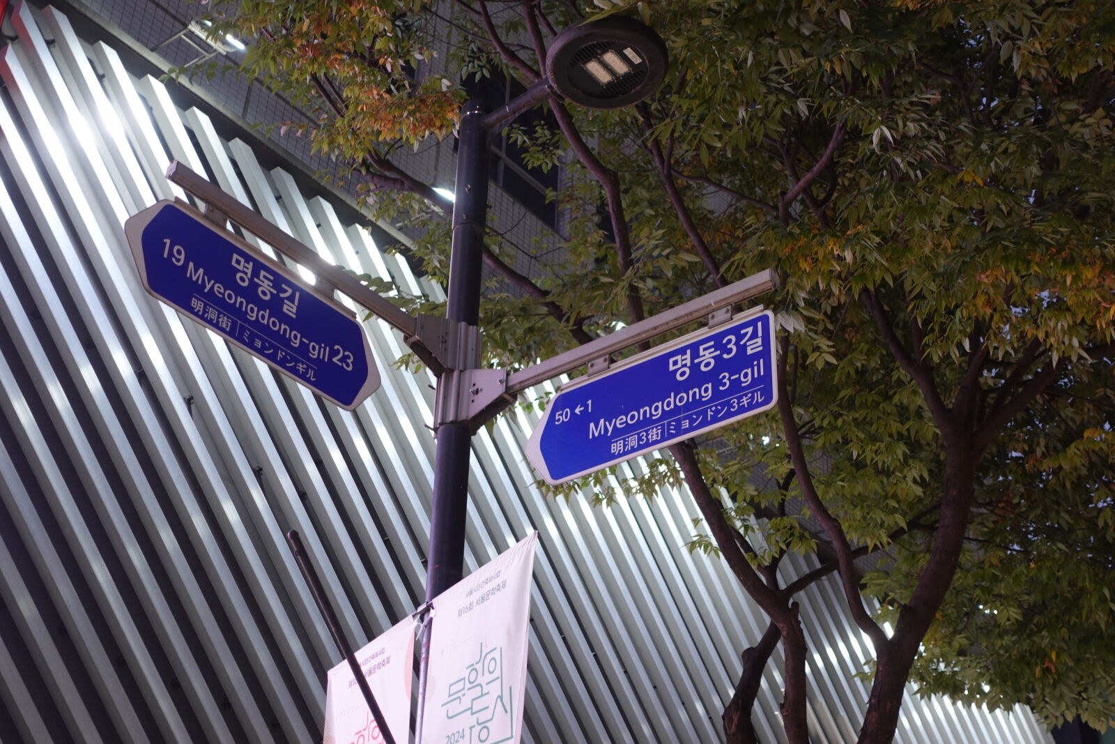 Sony ZV-1 sample photo