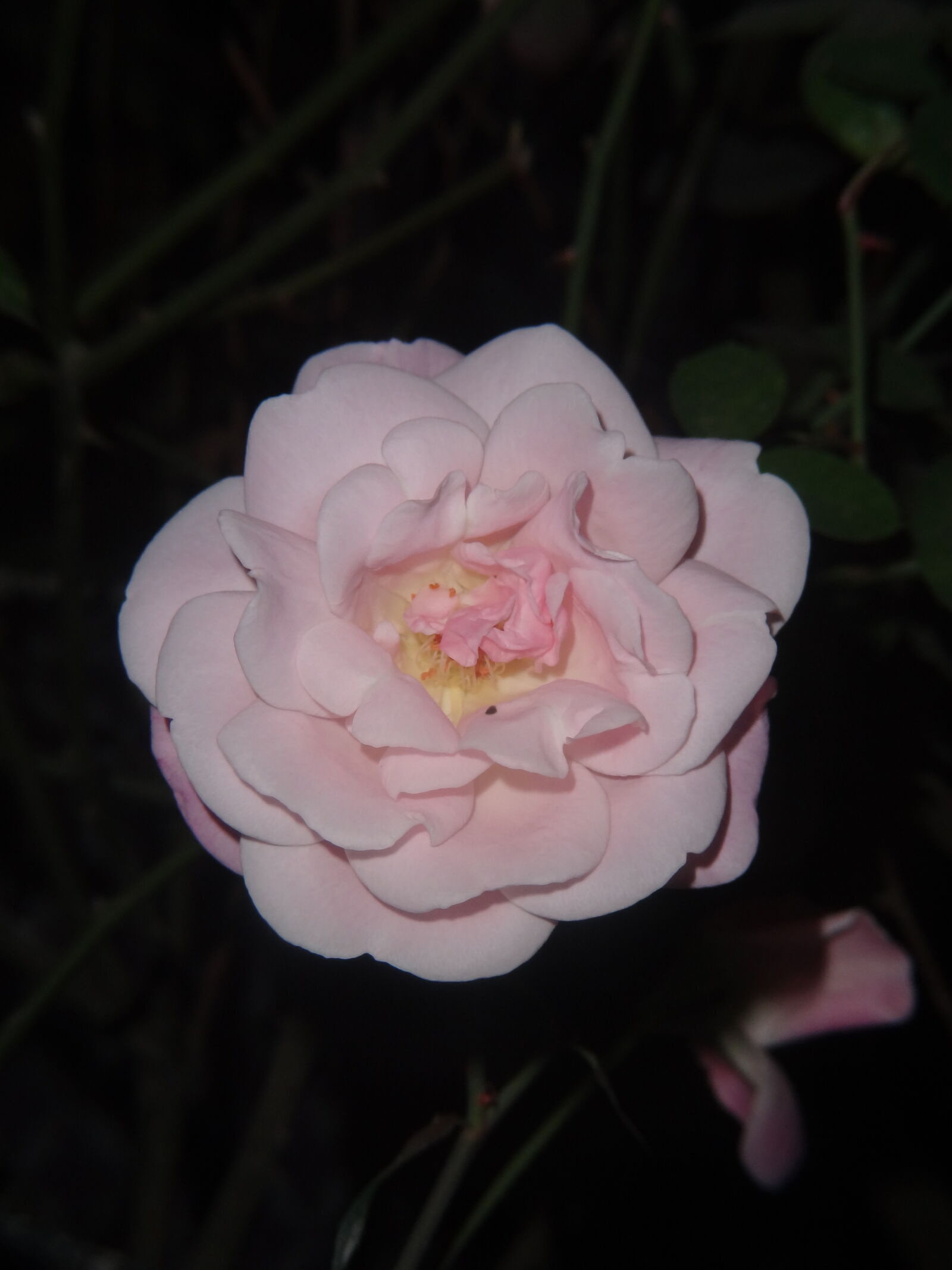 Sony Cyber-shot DSC-HX7V sample photo