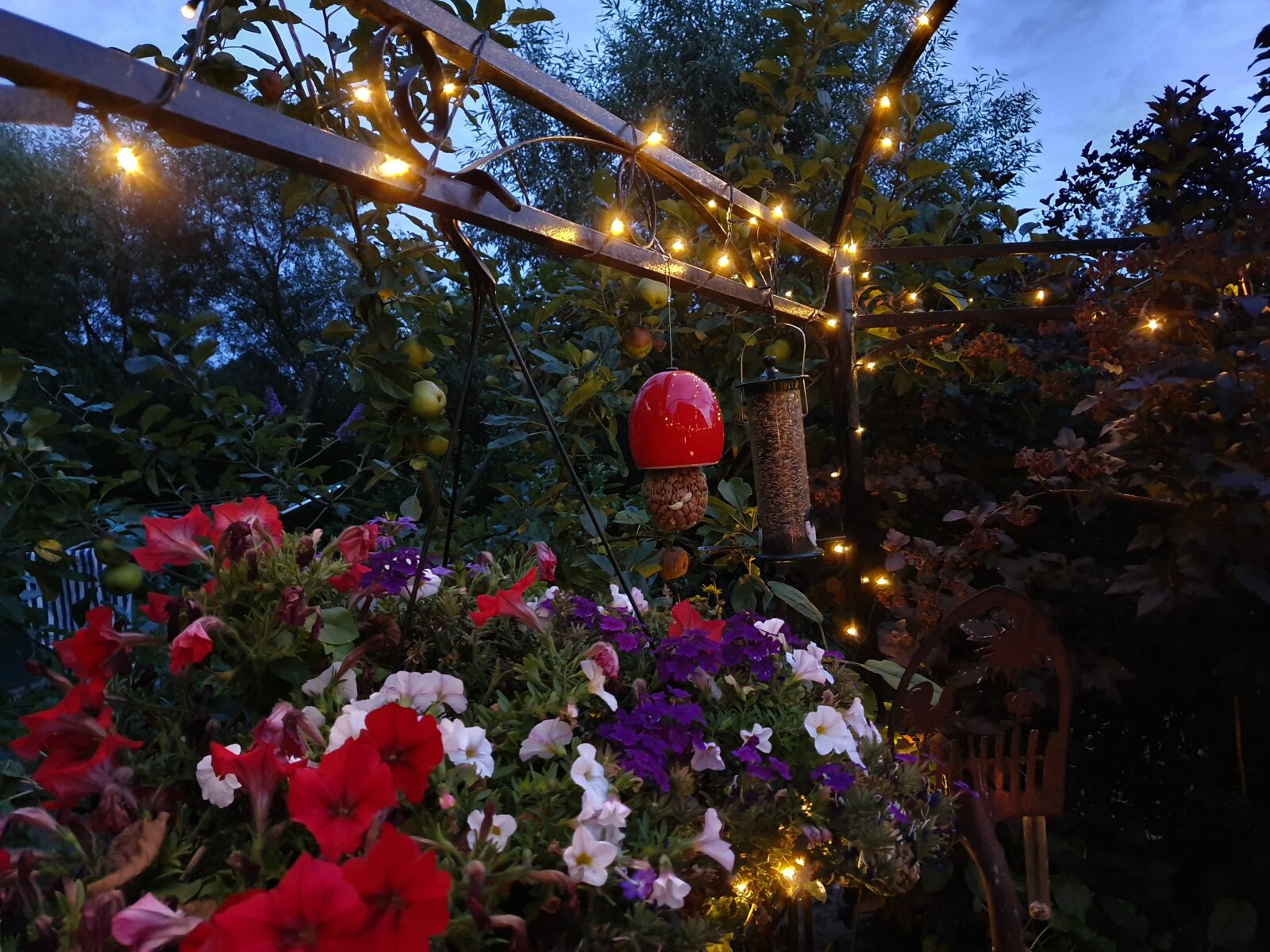 Samsung Galaxy S10 sample photo. Nature, lichterkette, evening photography