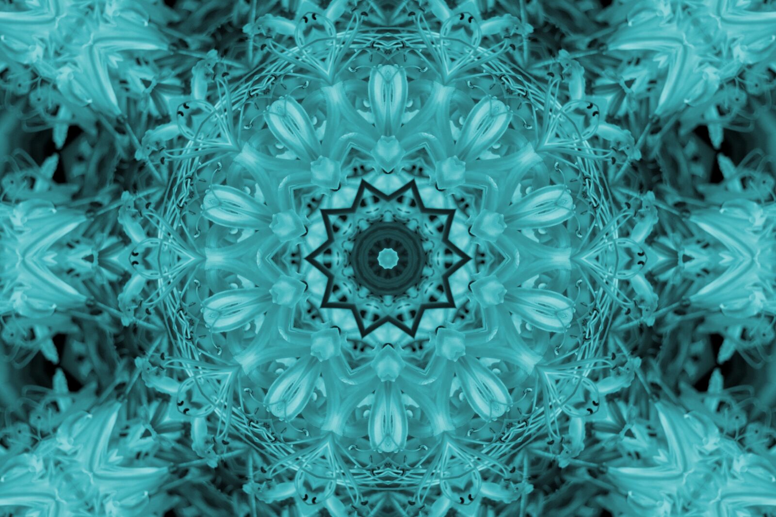 Nikon D3300 sample photo. Abstract, pattern, decoration photography