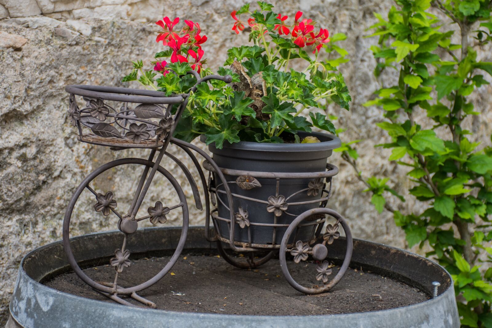 Nikon D7200 sample photo. Bicycle, flowers, barrel photography