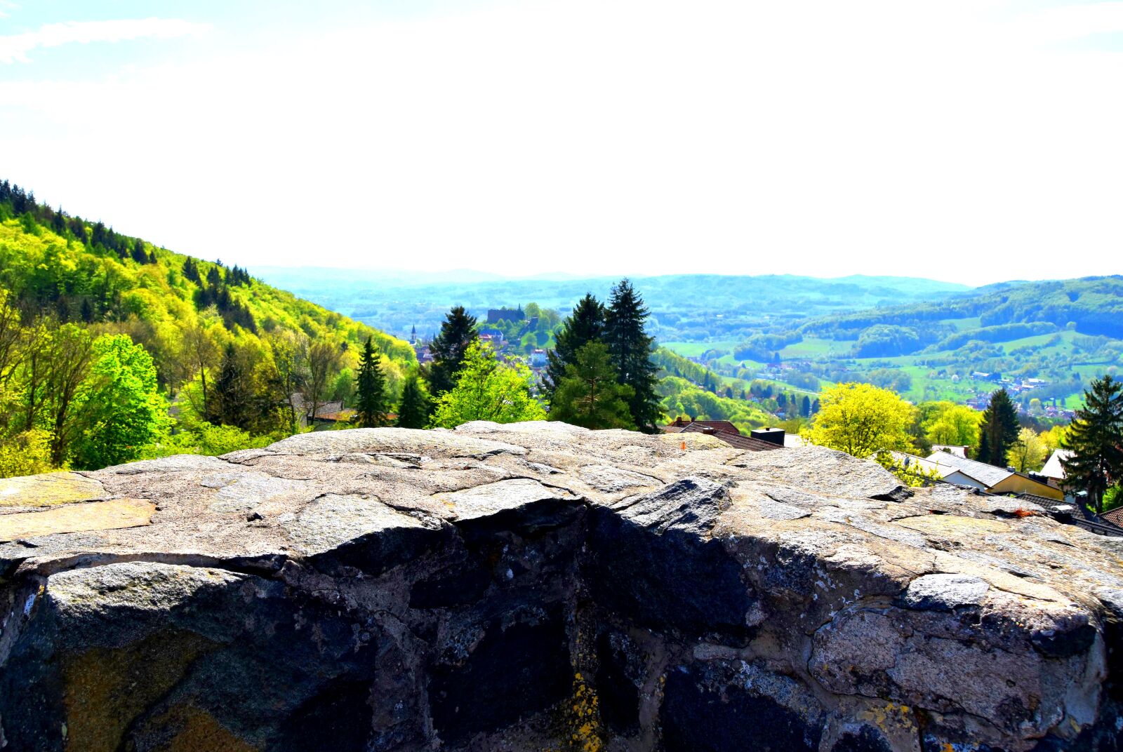Nikon D5600 sample photo. Odenwald, wall, forest photography