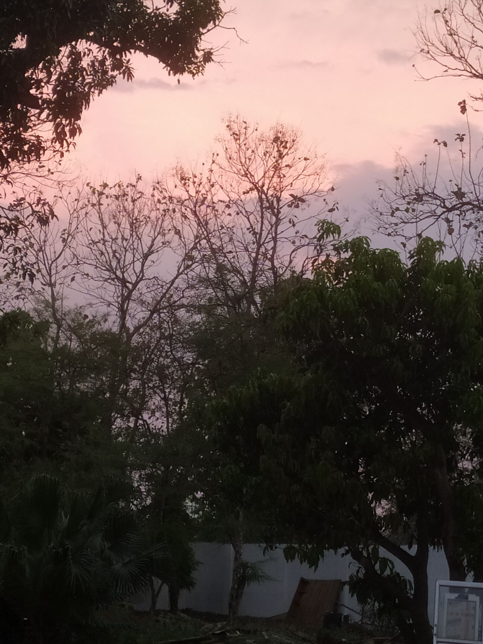 Xiaomi Redmi Note 8 sample photo. Evening, view, sunset photography