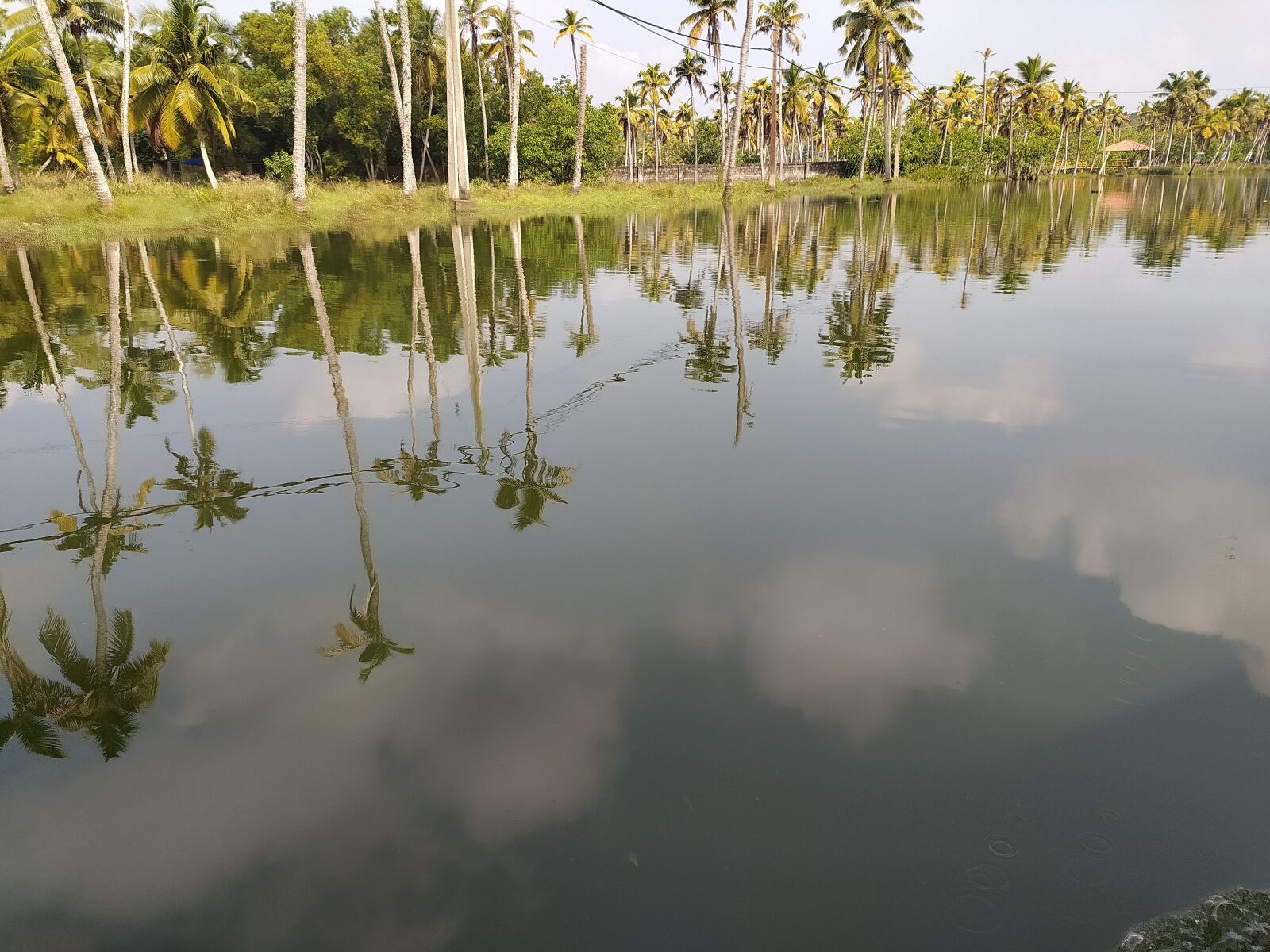 Xiaomi Redmi Note 8 sample photo. Reflection, water, lake photography