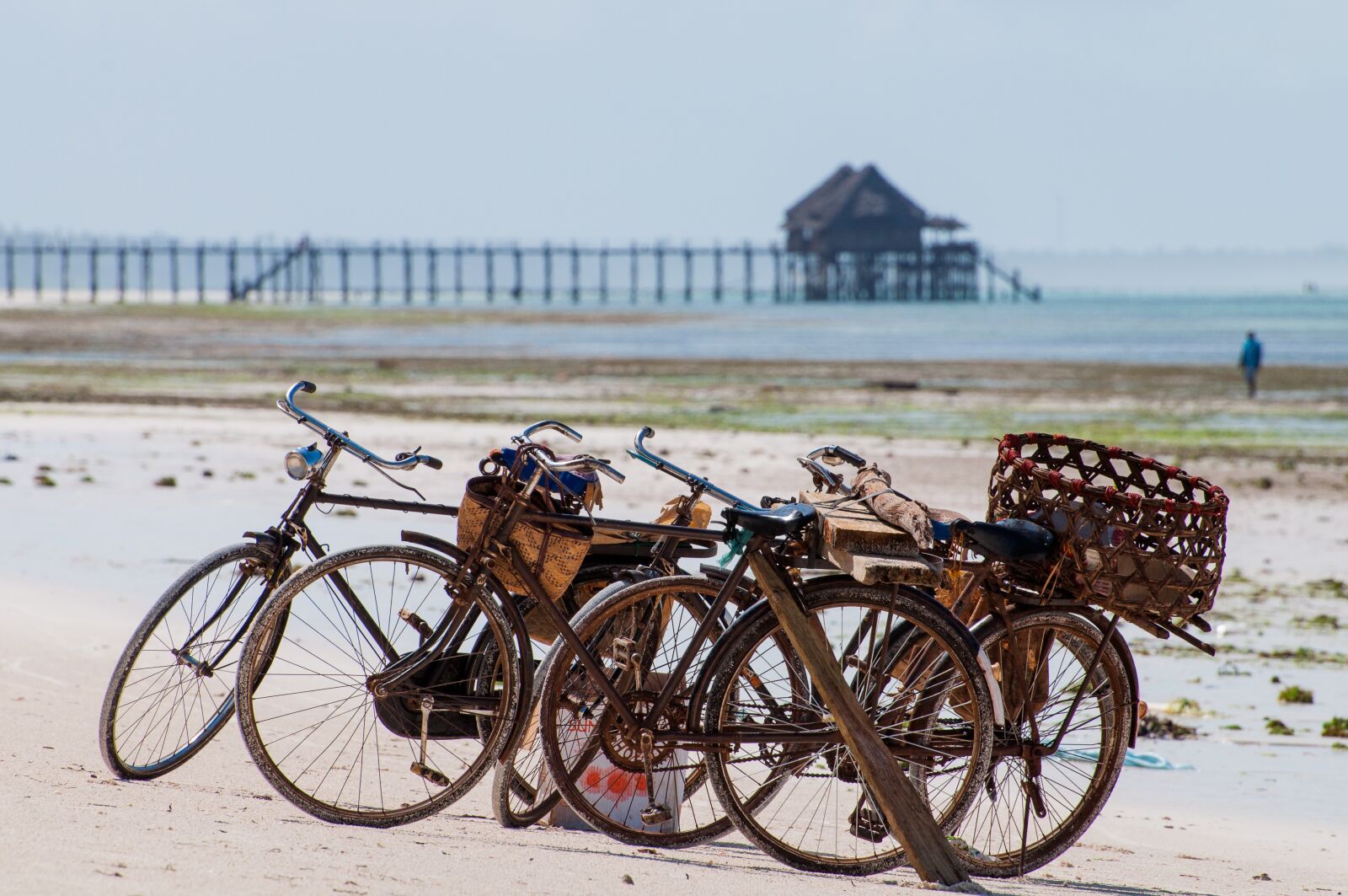 Nikon D5000 sample photo. Bicycle, ocean, port photography