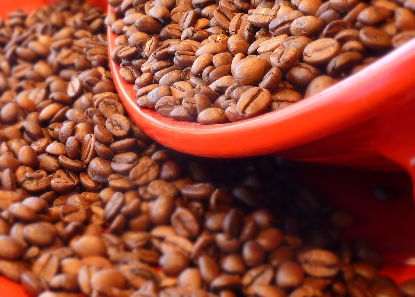 Panasonic DMC-TZ7 sample photo. Coffee, coffee beans, aroma photography