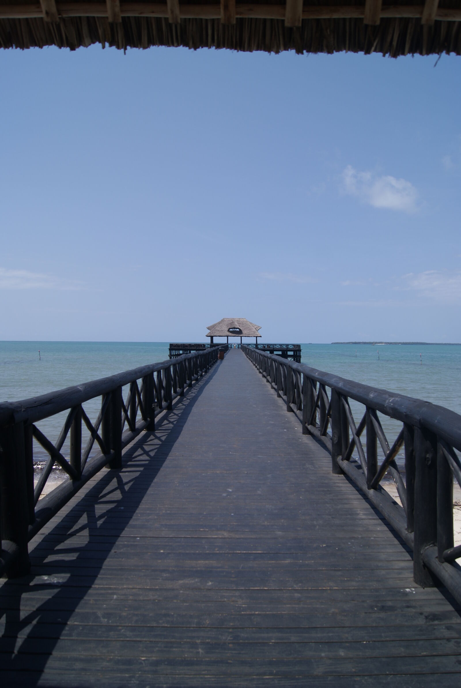 Sony Alpha DSLR-A230 sample photo
