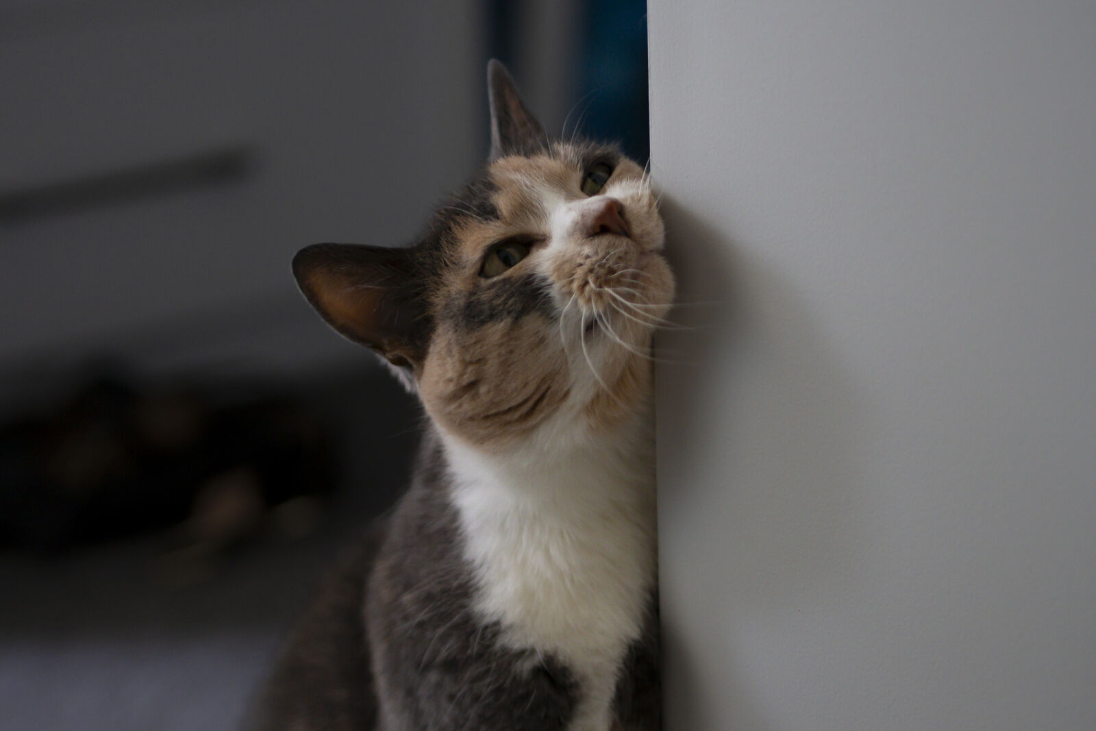 Olympus OM-D E-M5 sample photo