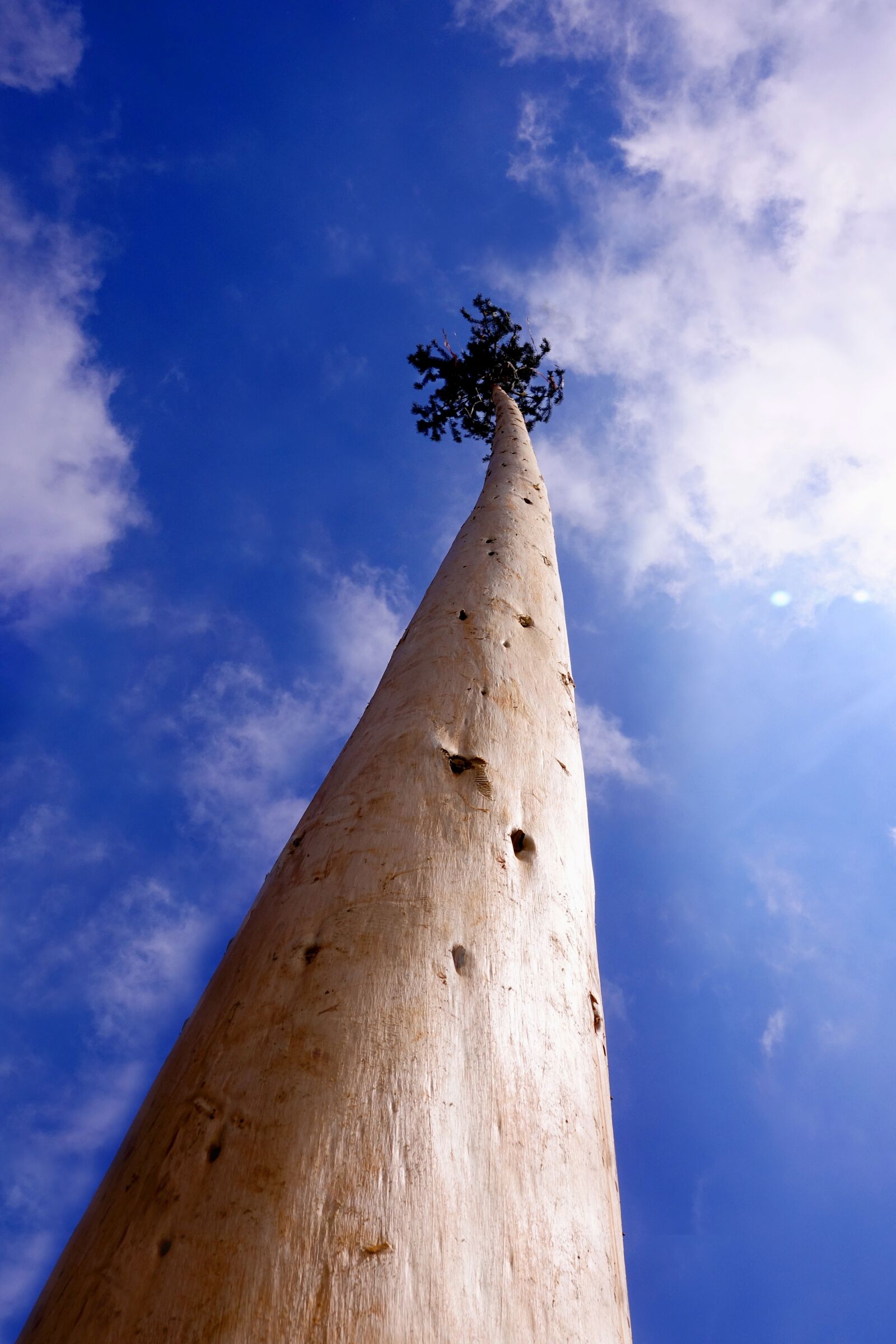 Sony Cyber-shot DSC-RX10 III sample photo. Sky, tree, maypole photography