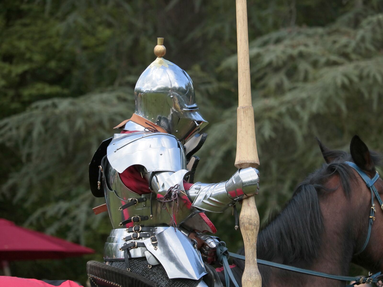 Canon EF-S 55-250mm F4-5.6 IS STM sample photo. Knight, middle ages, horse photography