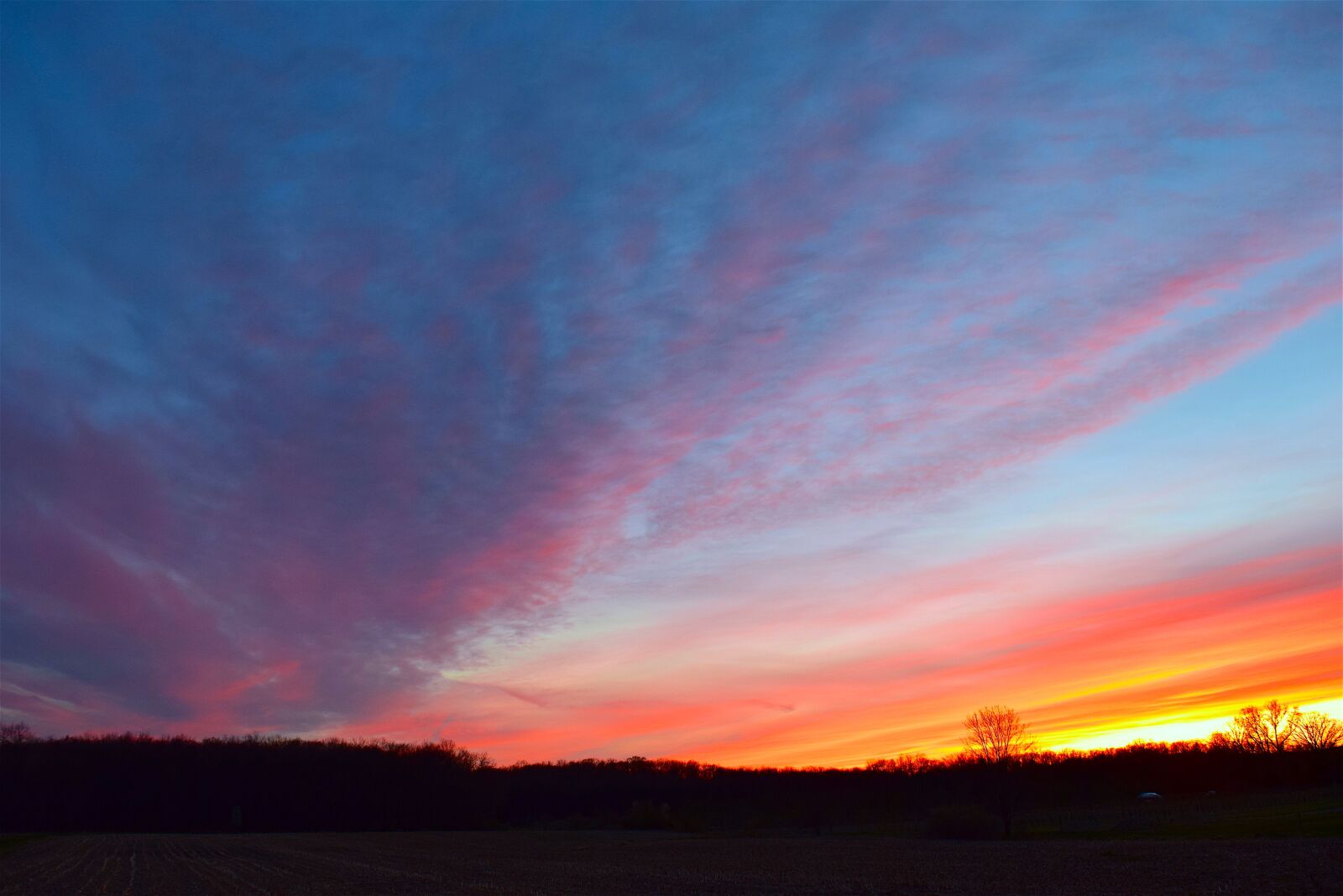 Nikon D3300 sample photo. Sunset, field, sky photography