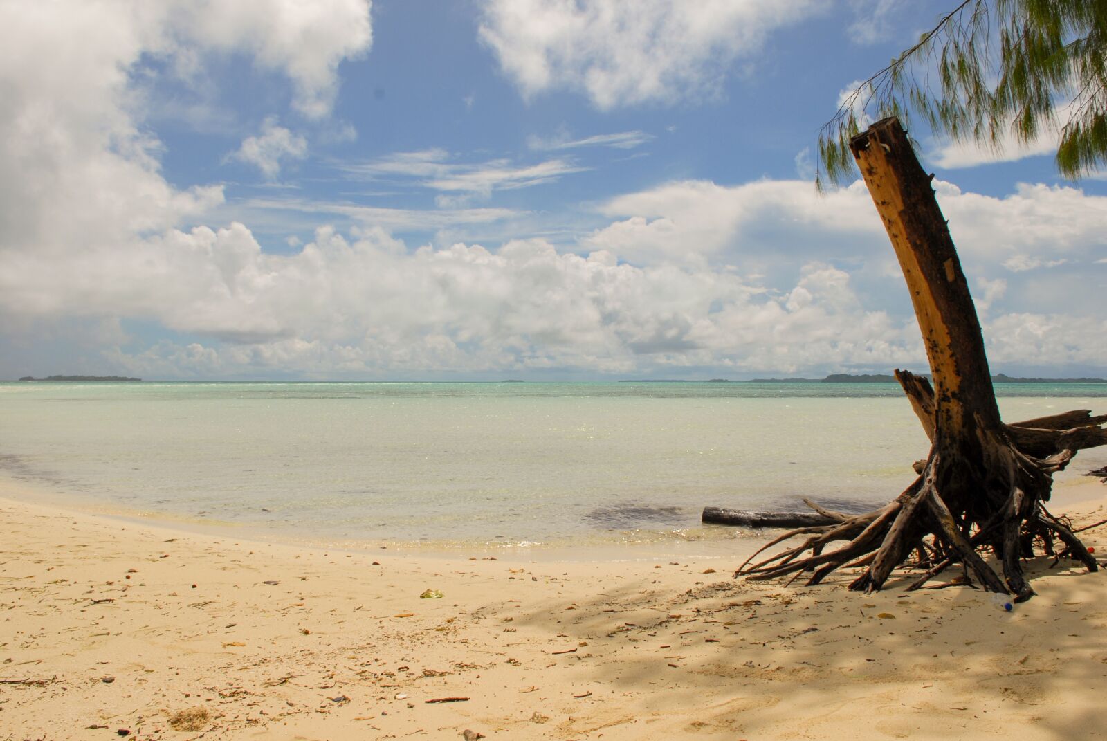 Nikon D200 sample photo. Palau, sea, nature photography