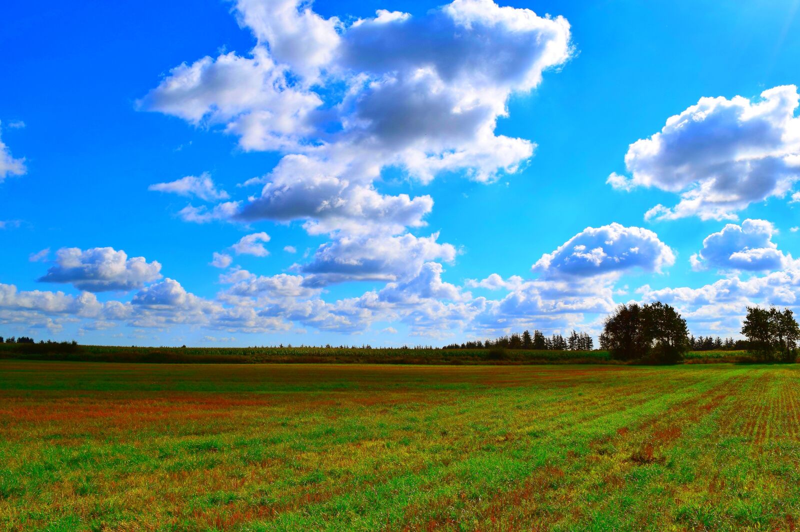 Nikon D5300 sample photo. Landscape, nature, sky photography