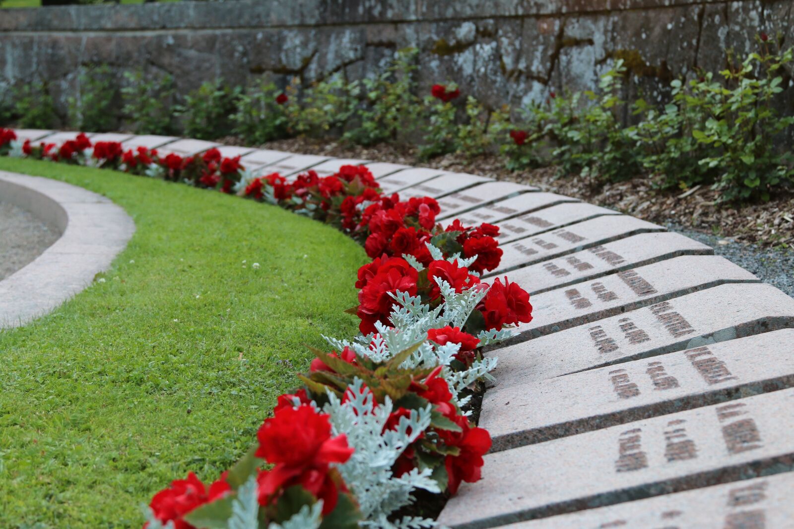 Canon EOS 70D + Canon EF 24-105mm F4L IS USM sample photo. Grave, cemetery, veteran photography