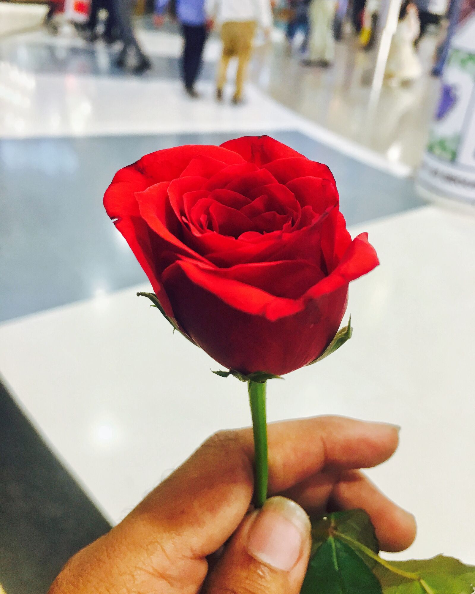 iPhone 6s back camera 4.15mm f/2.2 sample photo. Music, love, video, time photography