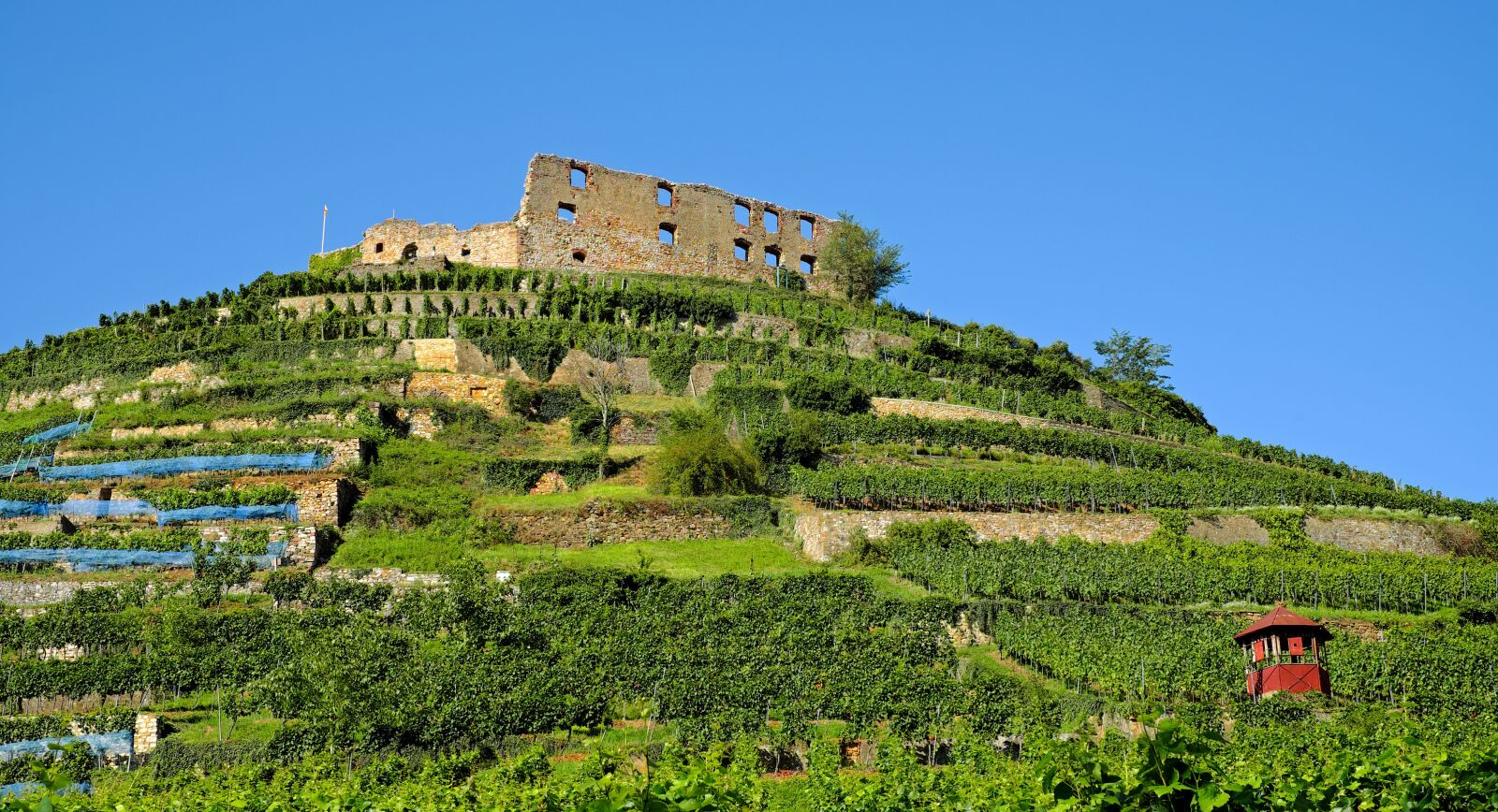 Fujifilm X-T10 + Fujifilm XF 35mm F1.4 R sample photo. Castle, staufen, burgruine photography