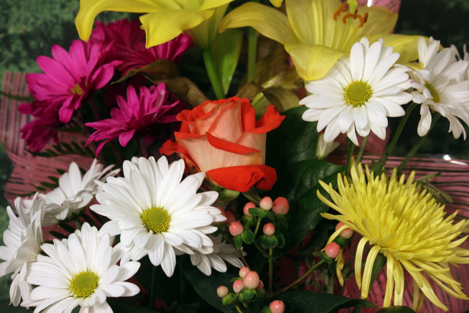 Canon EOS 550D (EOS Rebel T2i / EOS Kiss X4) sample photo. Flower bouquet, rose, daisy photography
