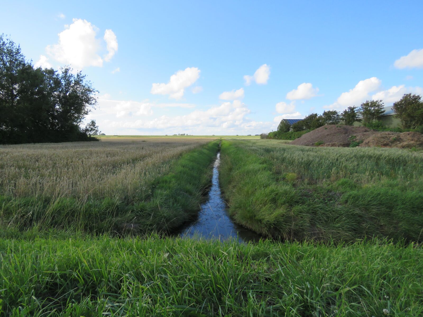 Canon PowerShot SX60 HS sample photo. Ditch, netherlands, field photography