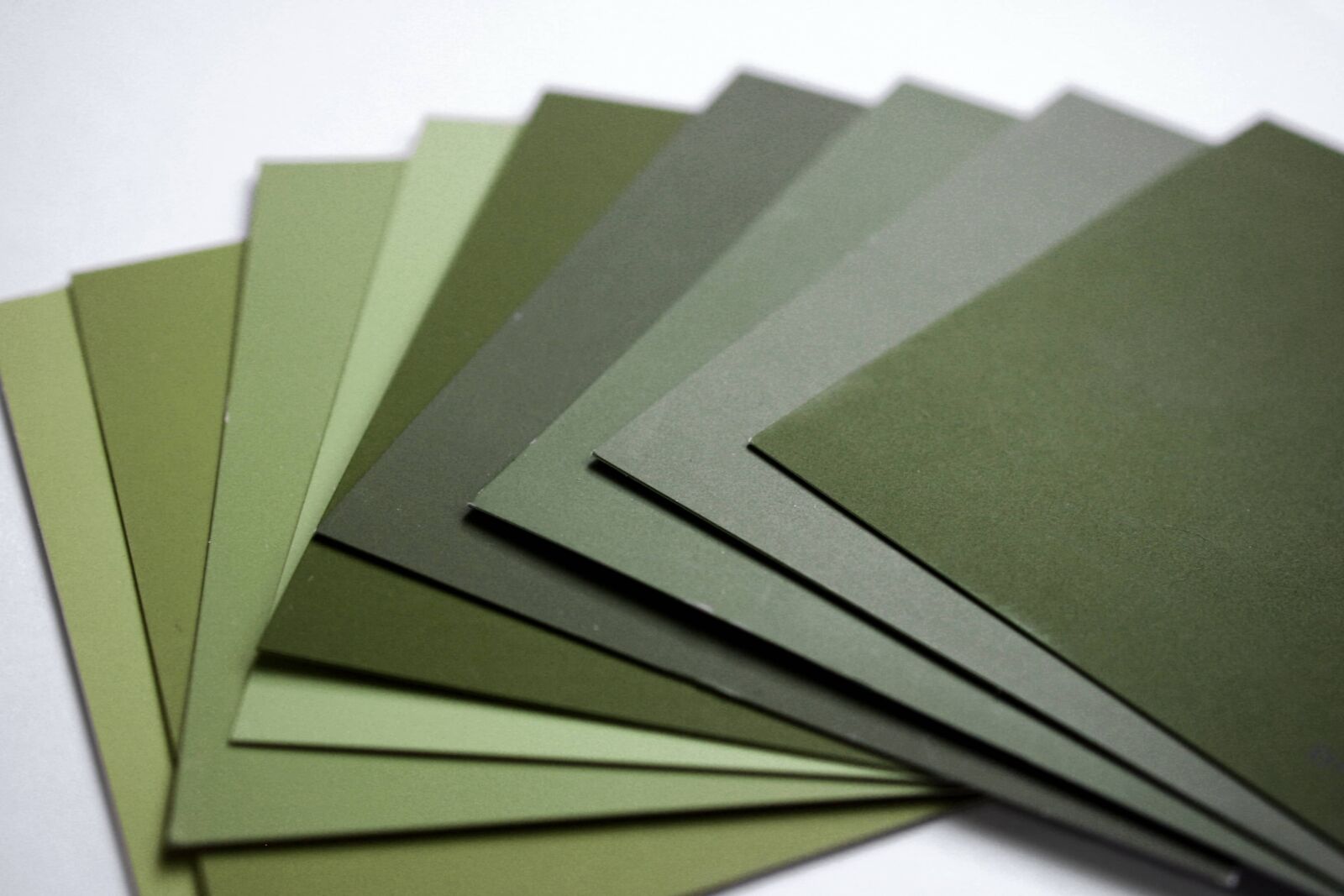f/3.5-5.6 IS sample photo. Carton, green, paper, shade photography