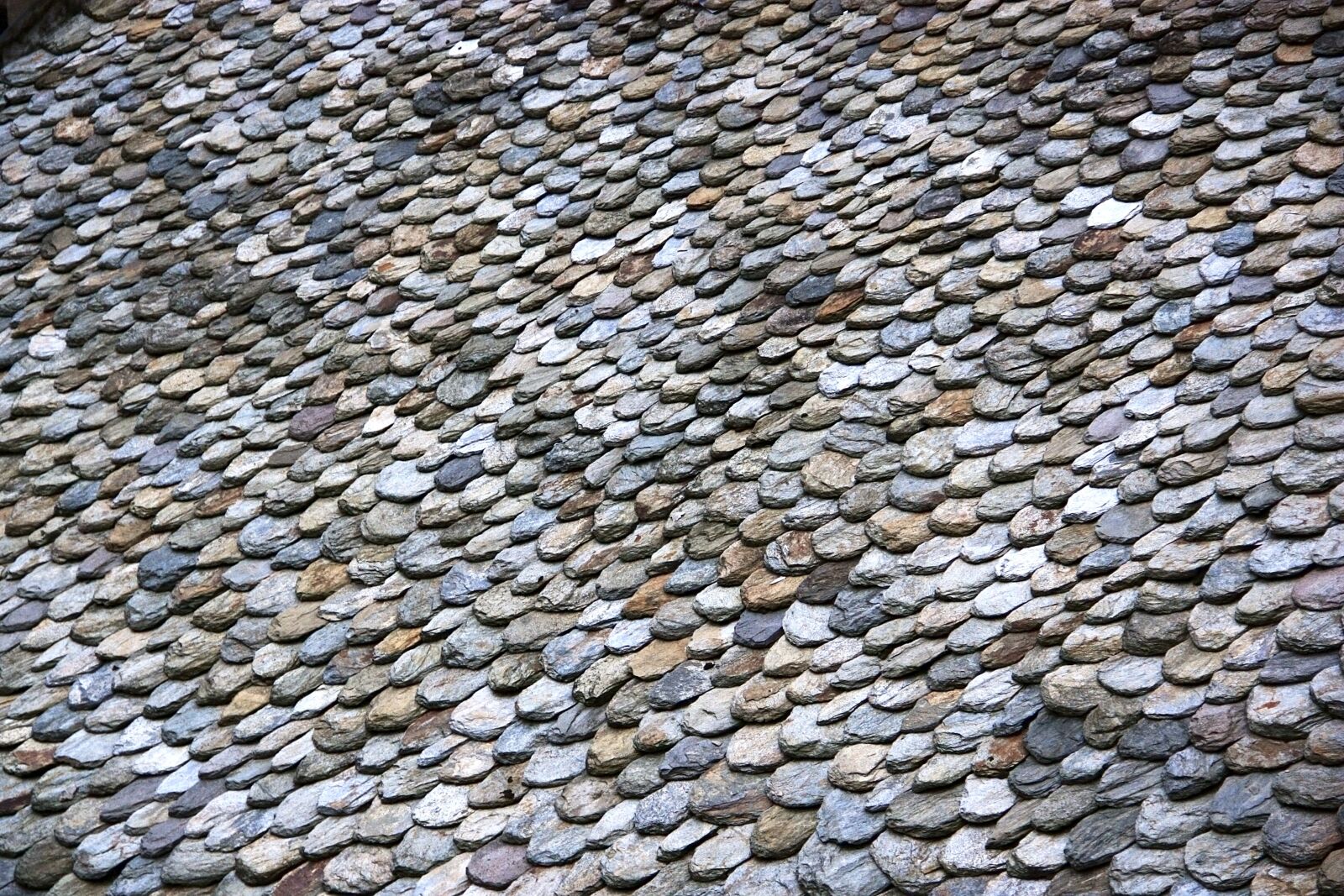 Canon EOS 450D (EOS Rebel XSi / EOS Kiss X2) sample photo. Roof, slate, france photography