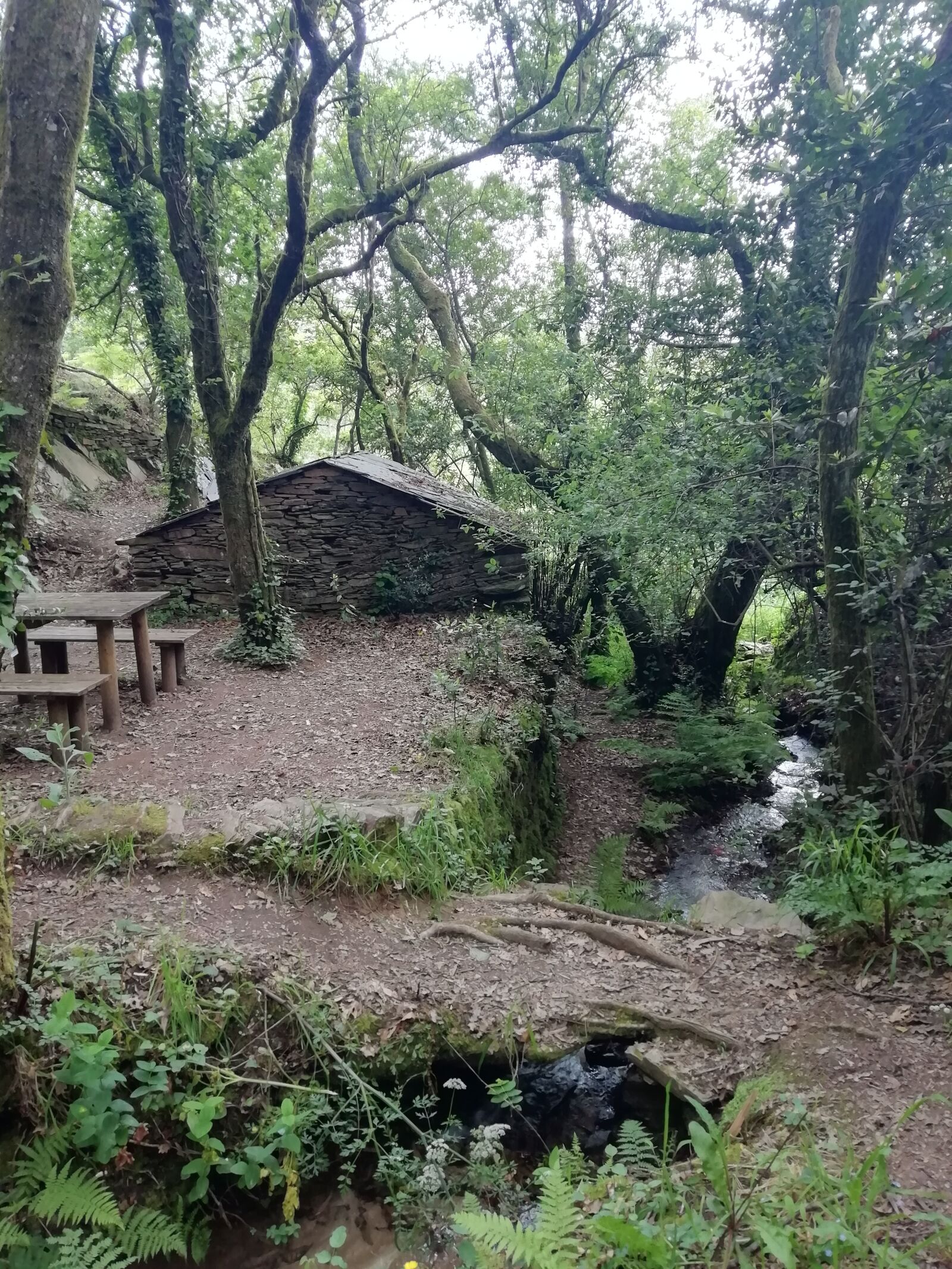 HUAWEI FIG-LX1 sample photo. Hut, forest, cottage photography