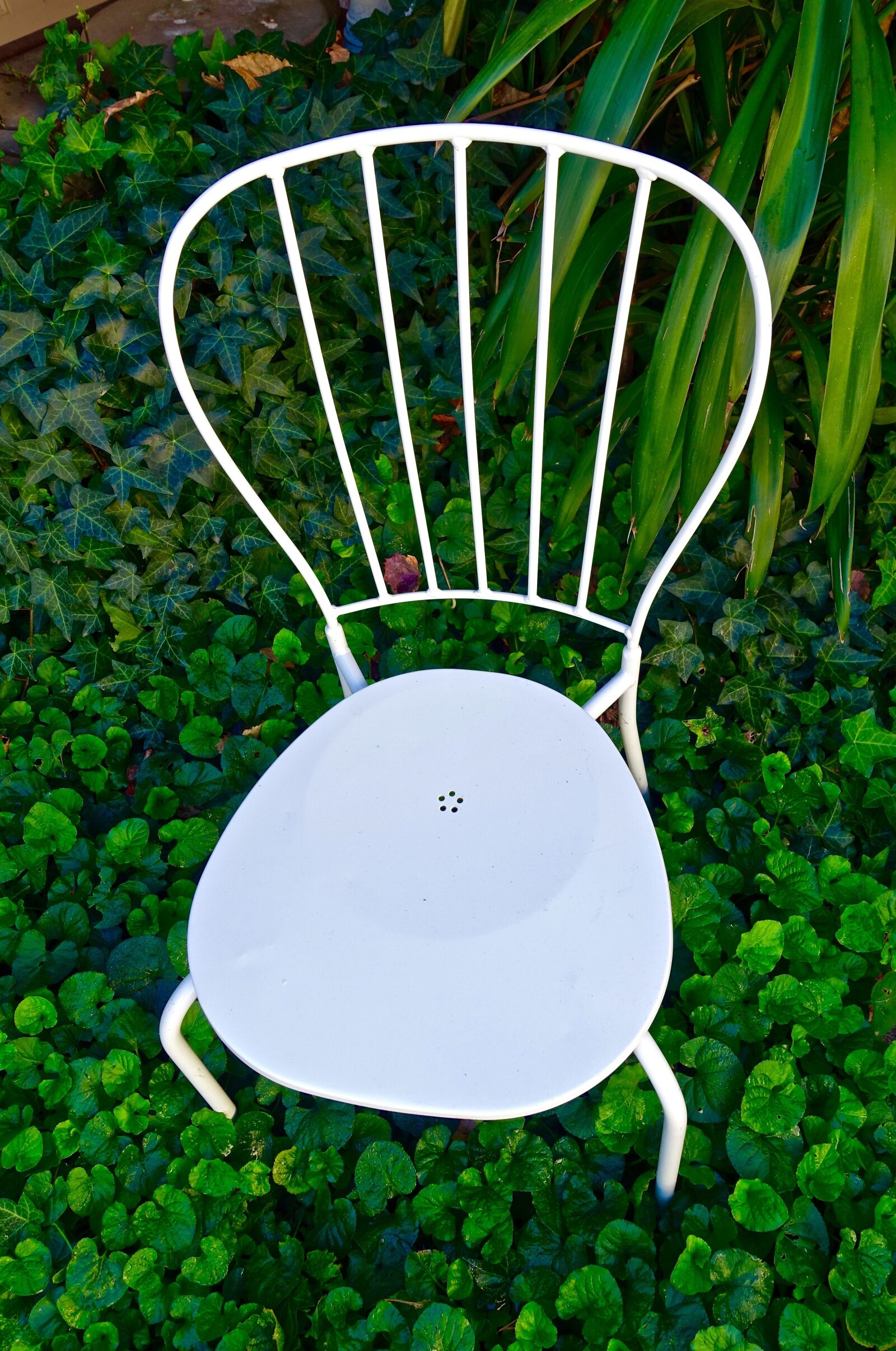 Sony Cyber-shot DSC-RX100 III sample photo. Chair, white, garden photography