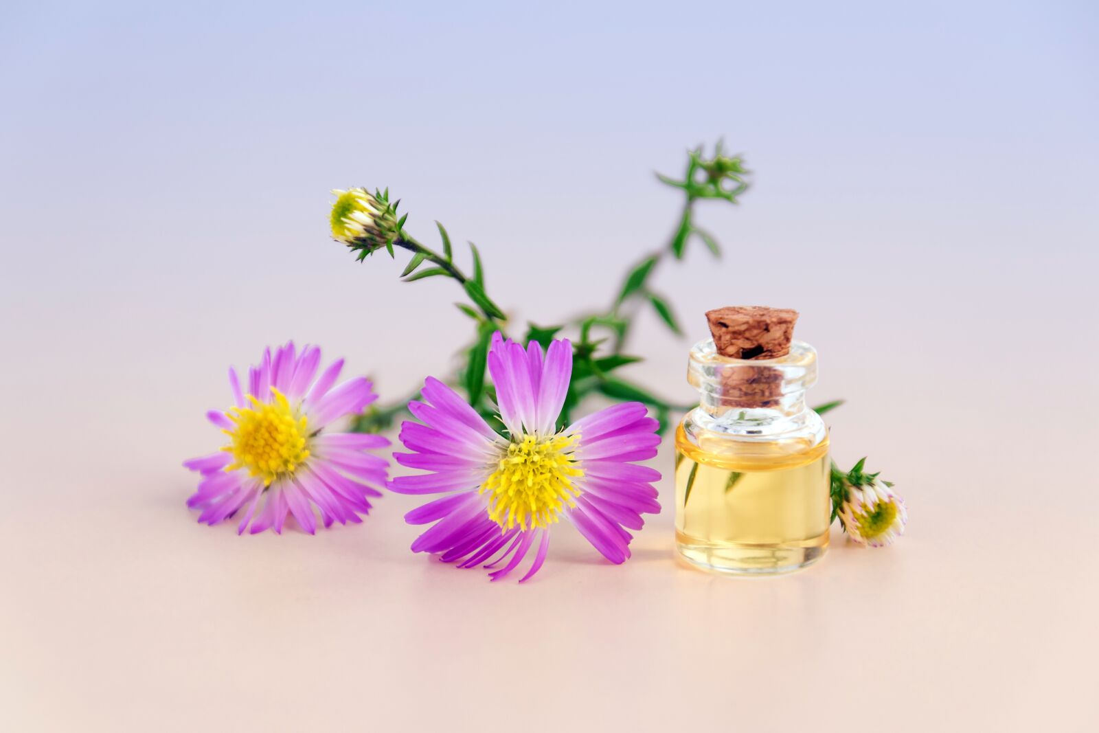 Nikon D3100 sample photo. Cosmetic oil, essential oil photography