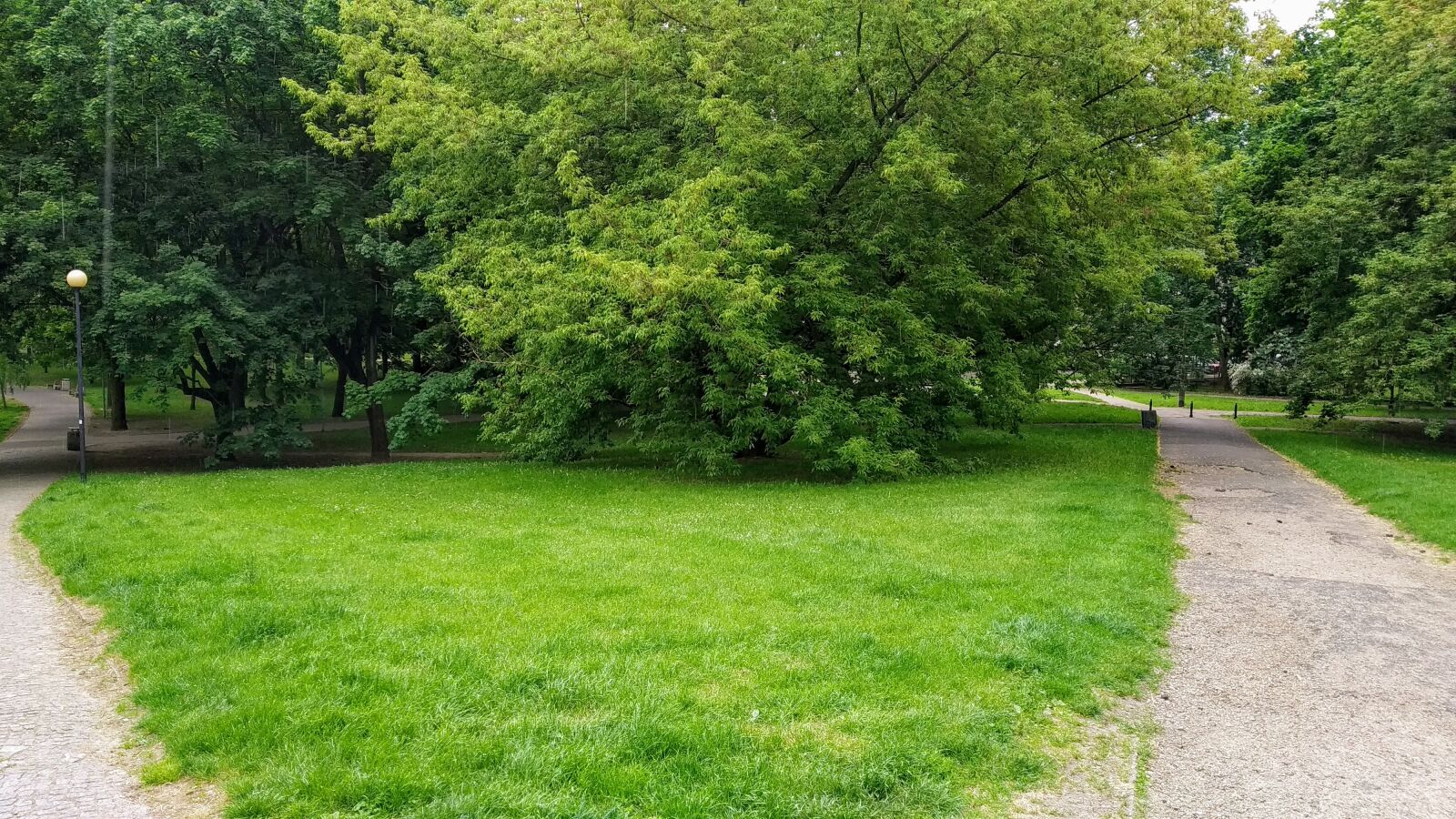 Xiaomi Mi A2 Lite sample photo. Park, grass, tree photography