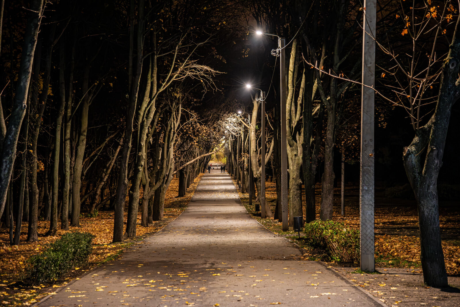 Nikon D750 sample photo