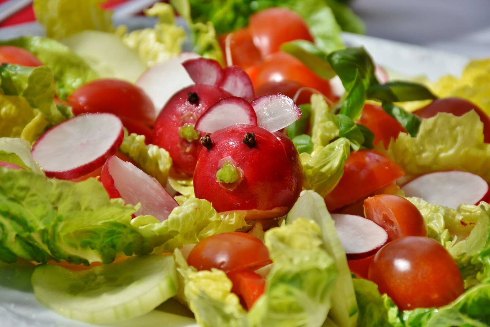 Nikon D7200 sample photo. Salad, mixed, tomato photography