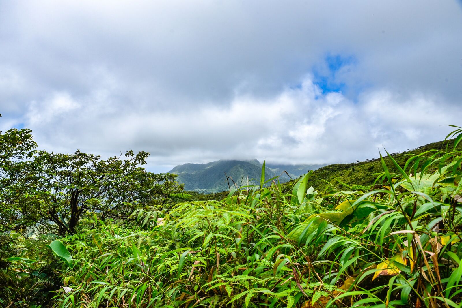 Tamron SP 24-70mm F2.8 Di VC USD sample photo. La soufriere volcano, table photography