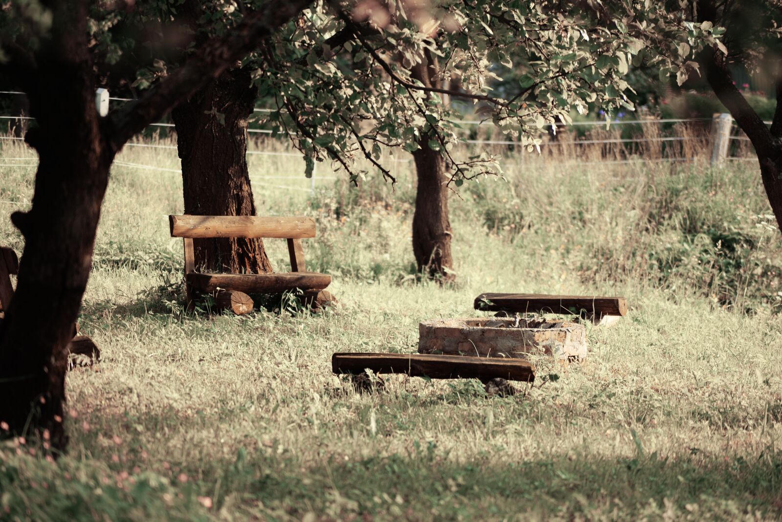Nikon D610 sample photo. Bench, tree, wooden photography
