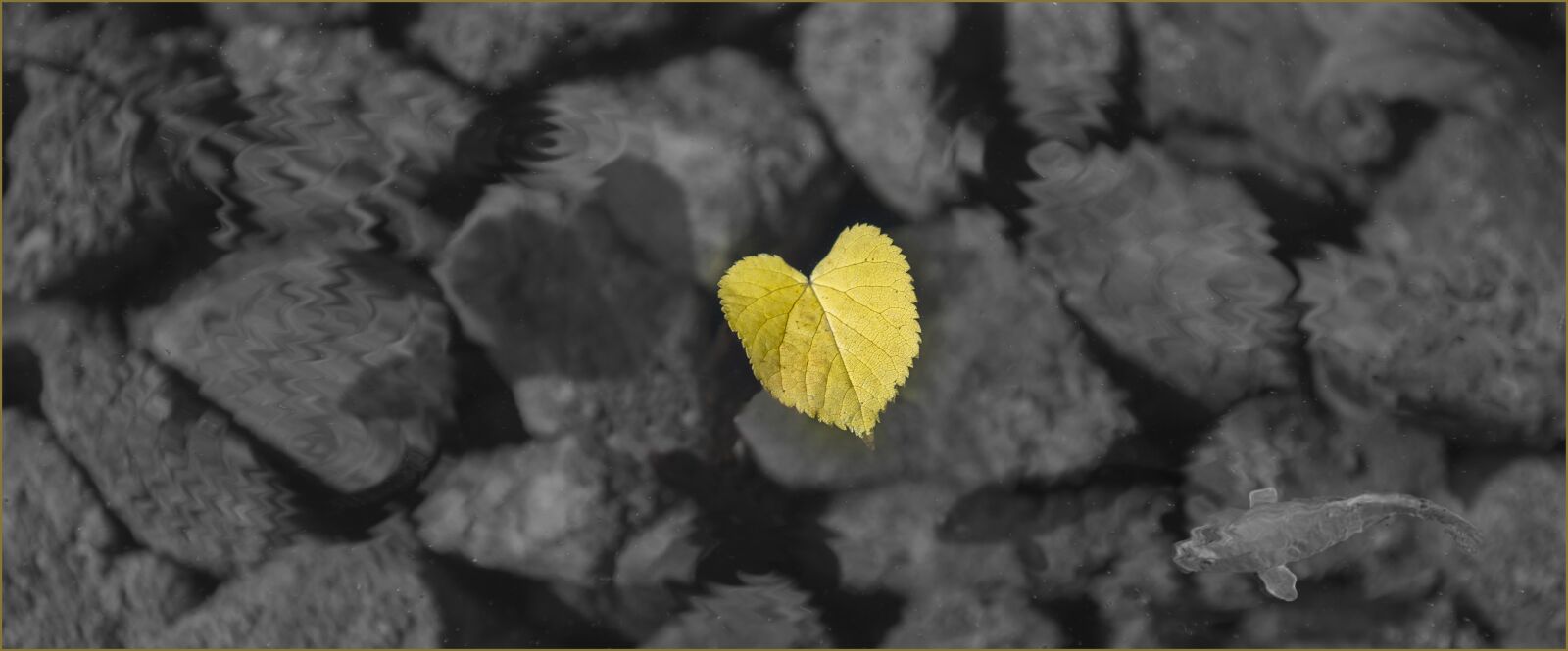 Nikon D800 sample photo. Nature, no person, rock photography