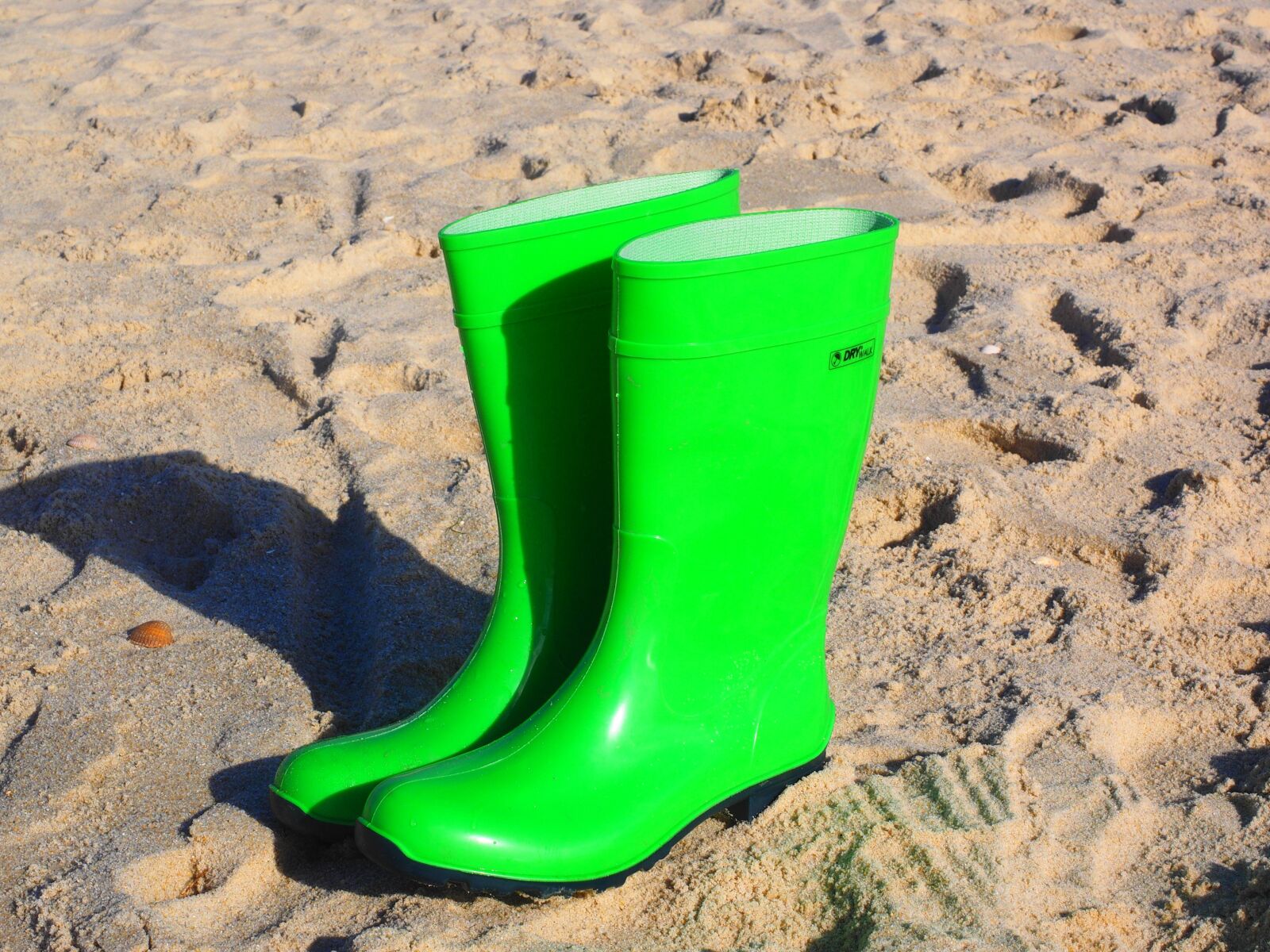 Olympus OM-D E-M1 + Olympus M.Zuiko Digital ED 12-40mm F2.8 Pro sample photo. Rubber boots, boots, green photography