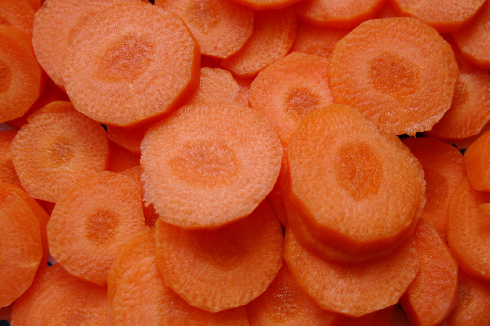 Nikon D40 sample photo. Carrot, orange, cut photography
